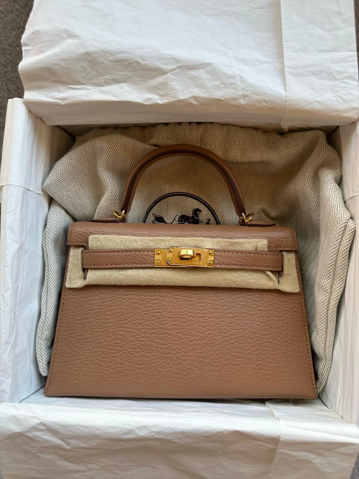 051ea346-cc76-4f54-860f-03c5bad5b433 2.JPG