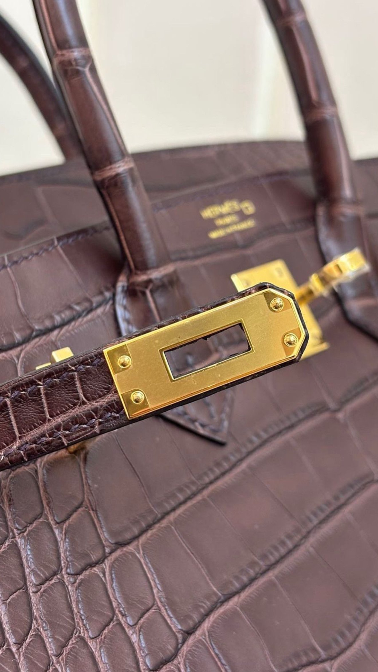 Close-up of a brown crocodile leather handbag with gold hardware and a rectangular lock detail.