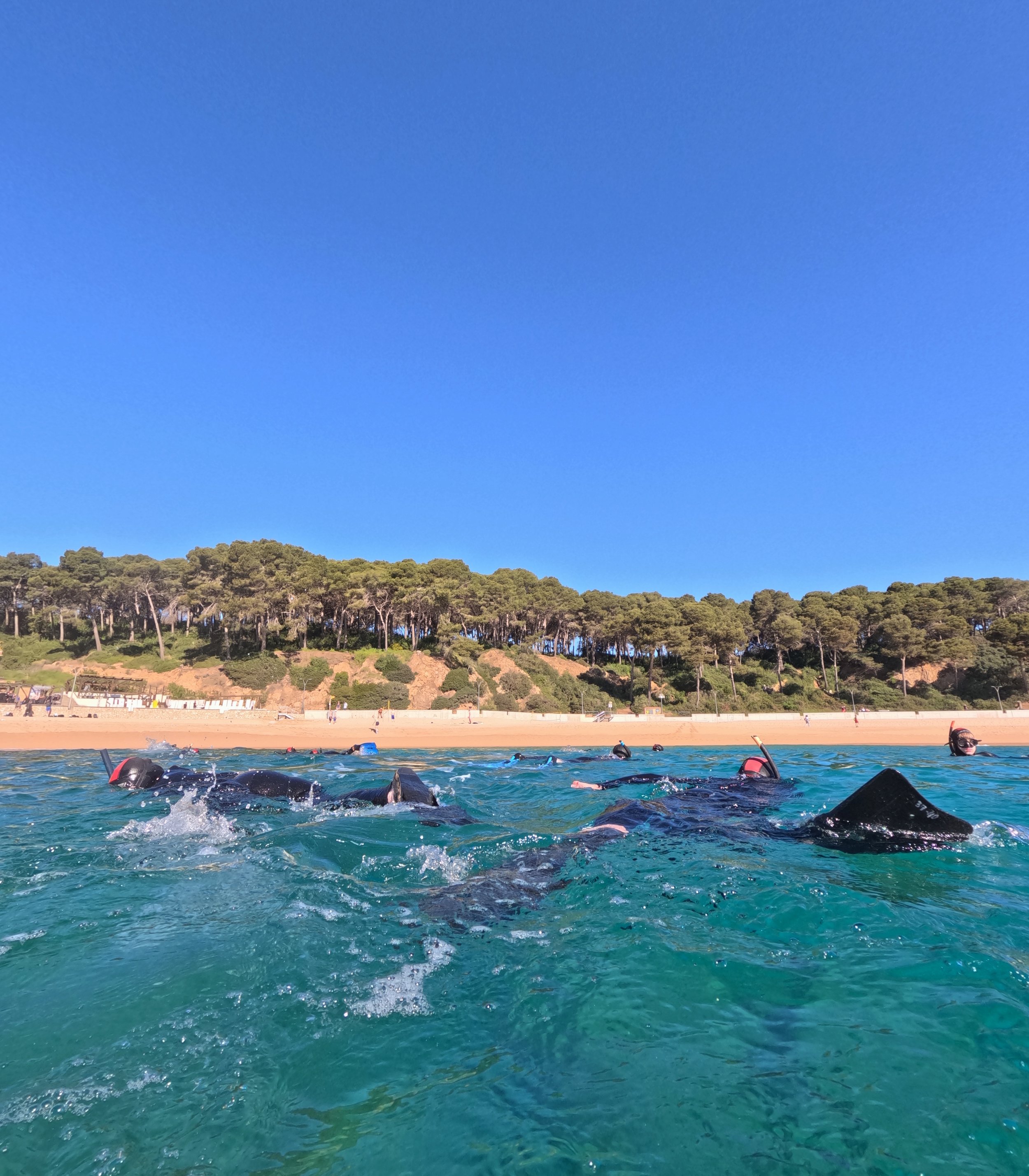 GPTempDownload 35.JPG