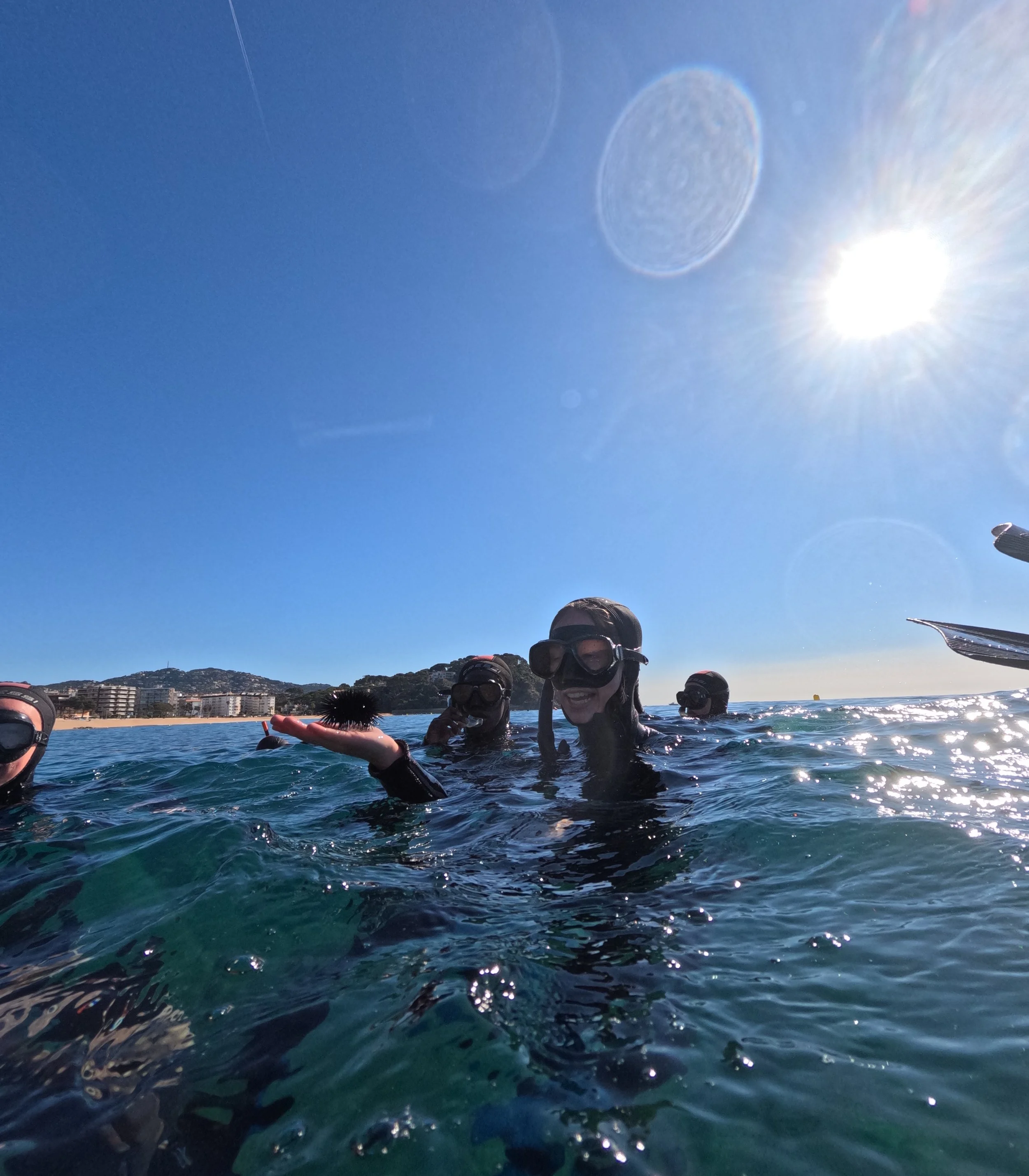 GPTempDownload 40.JPG