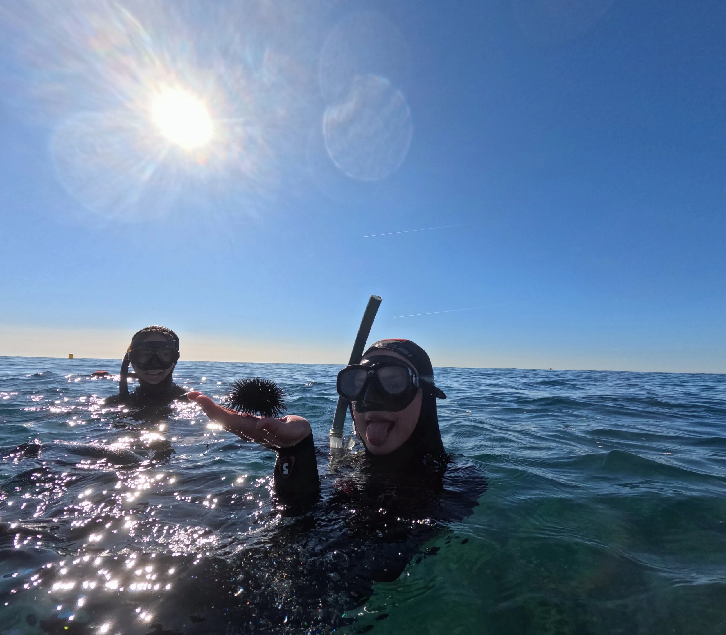 GPTempDownload 43.JPG