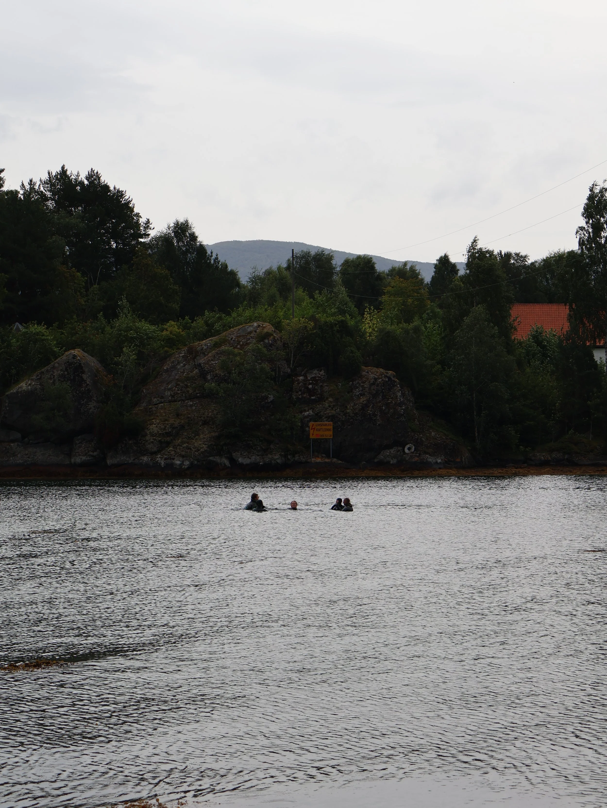 IMG_4296.JPG