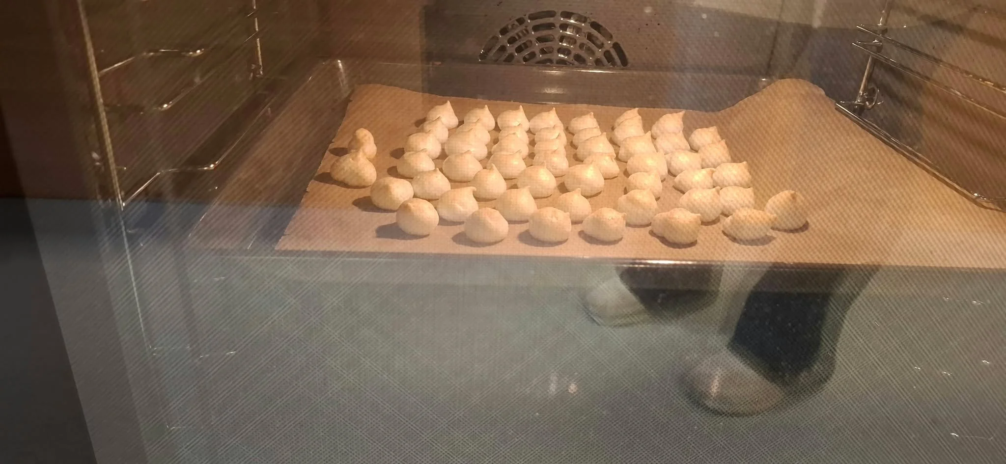 856371978_1564571952089509_9201561542334891319_n.jpg