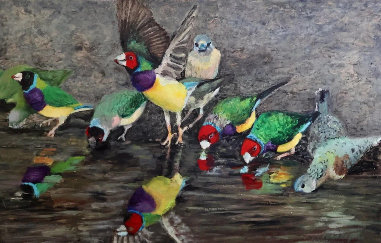 Gouldian Finches painting.jpeg
