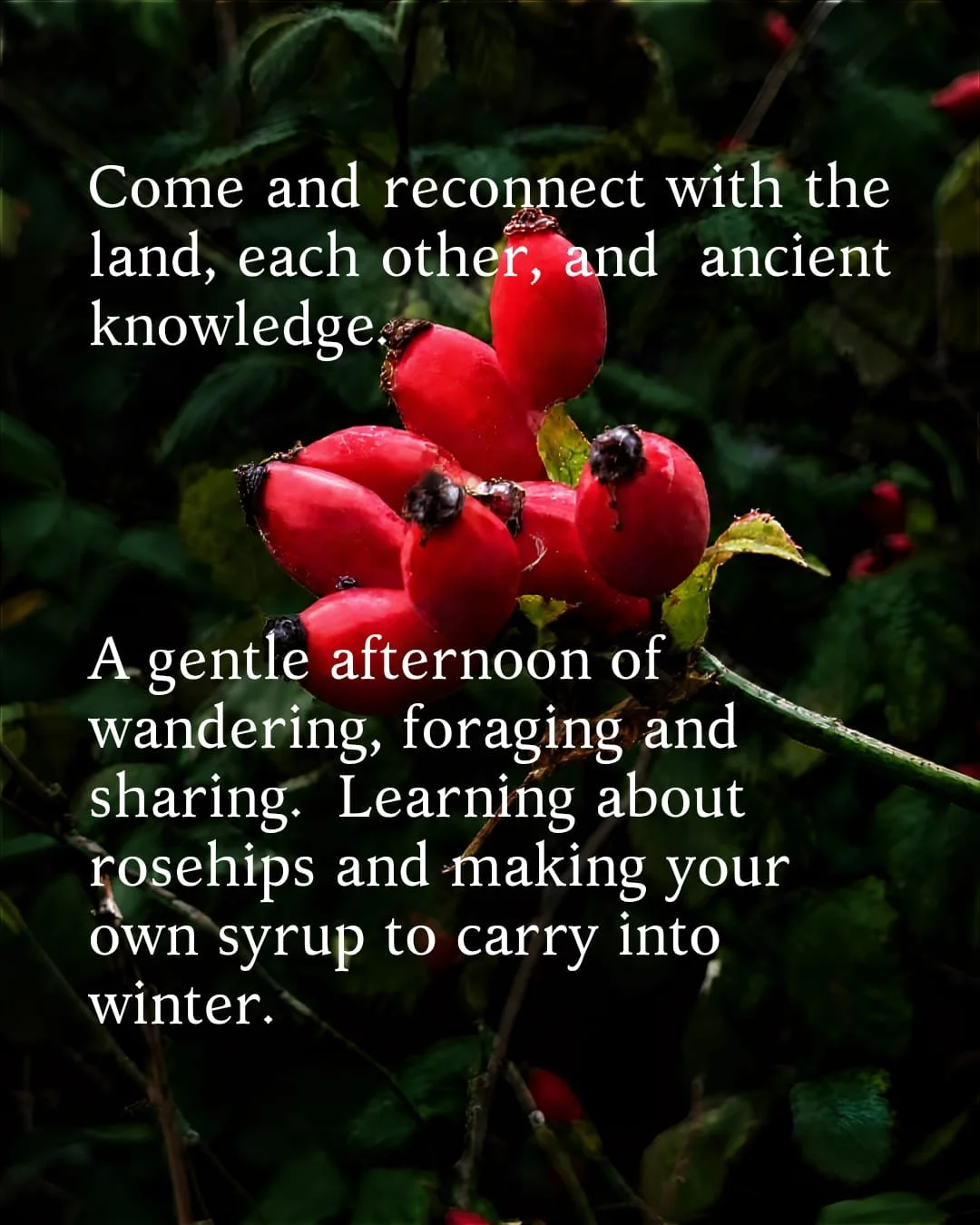 foraging 2.jpeg