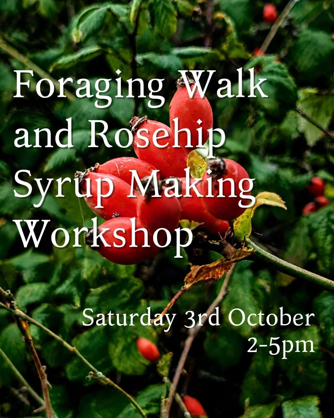 foraging.jpeg