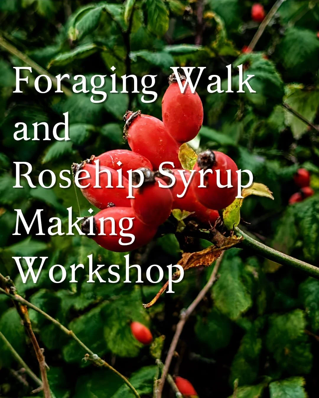 rosehip.jpeg