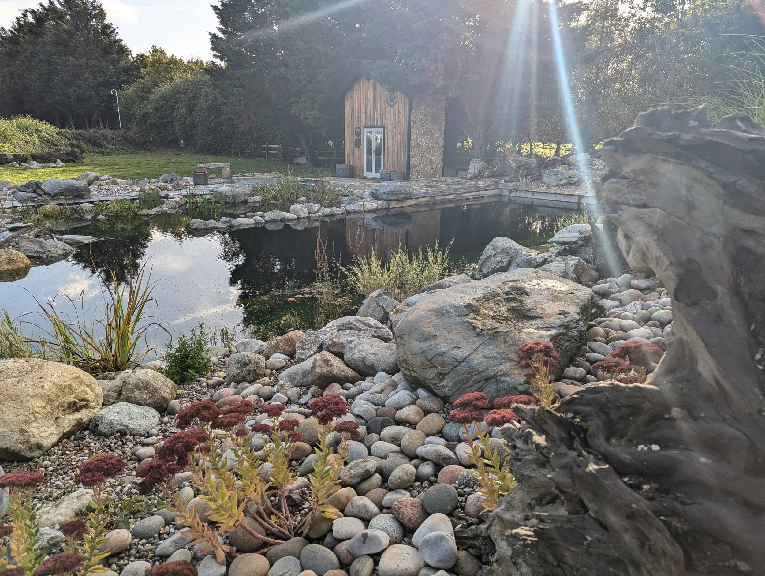pond 3.jpg