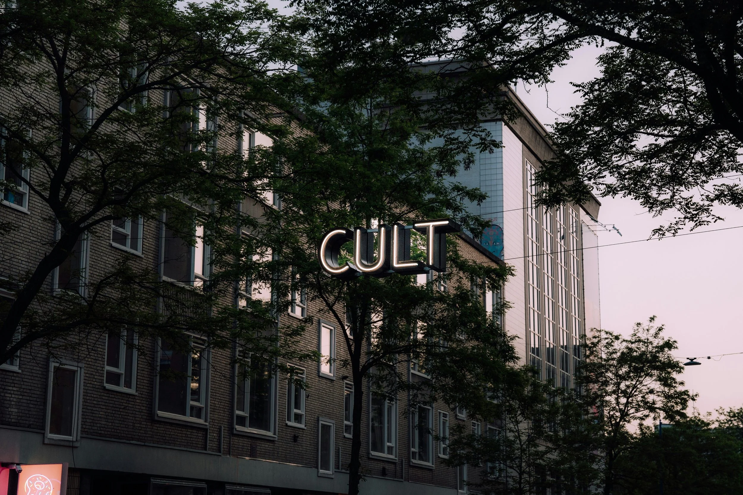 Kind, Smart, and Human: Understanding Cult Dynamics and Recovery