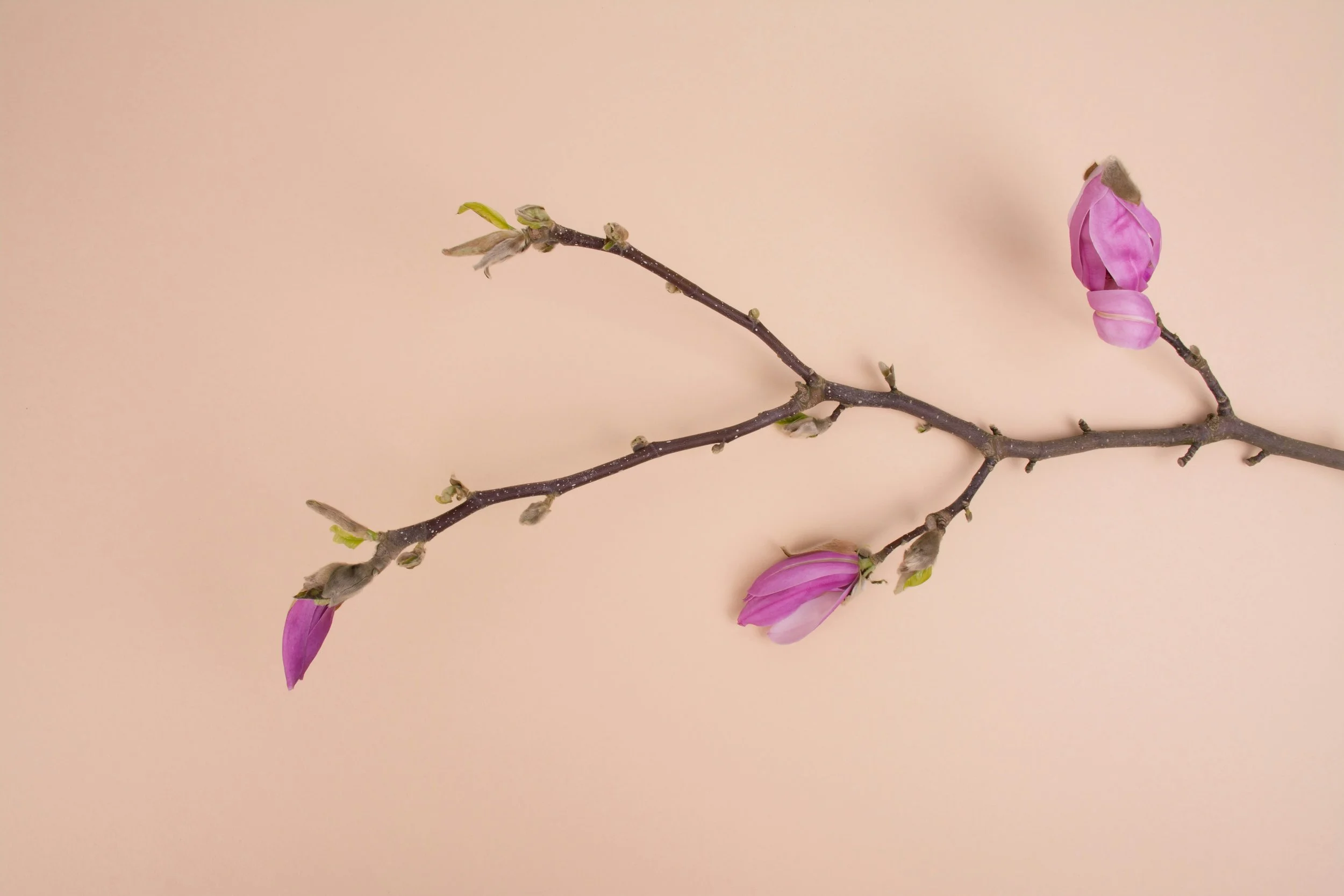 Rebuilding Your Identity After Leaving a High-Control Group