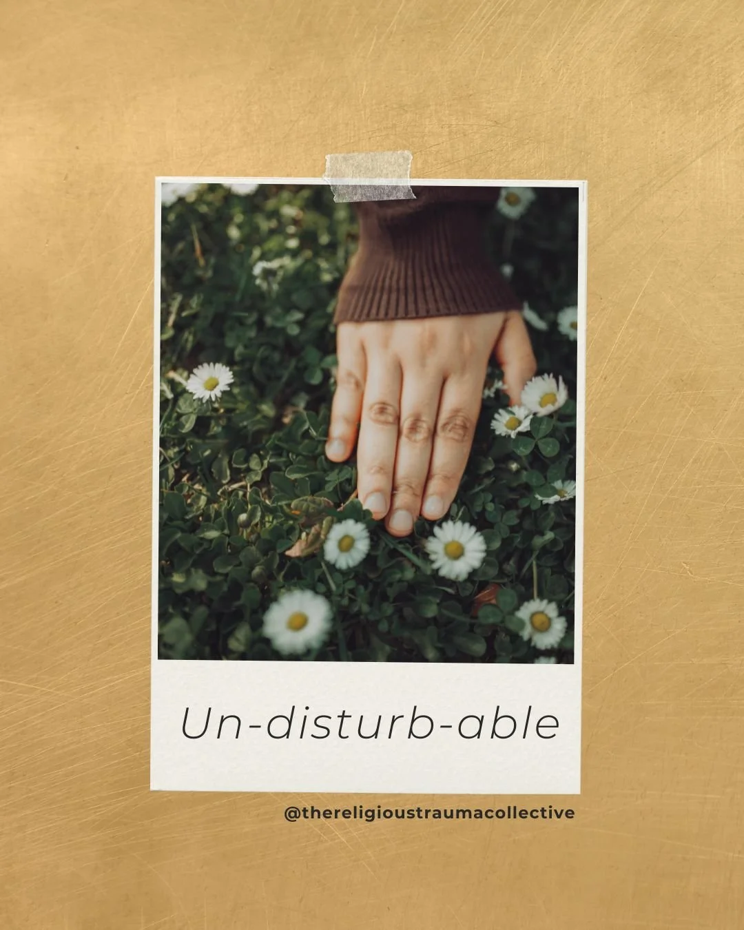 I remember being in a trauma lecture once and our teacher said, &ldquo;there is a part of you that is un-disturb-able.&rdquo; It&rsquo;s stayed with me since.

When the state of the world feels frightening, it&rsquo;s natural to be swept into waves o