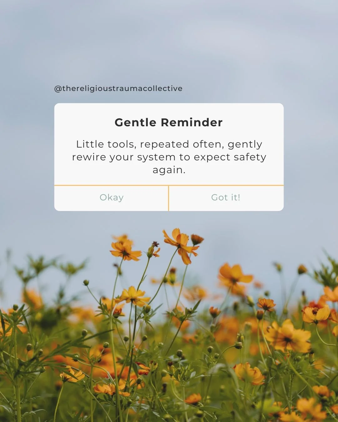 All through October we shared practical, trauma-informed tools that can help you regulate your nervous system and meet those overwhelming moments with more compassion and less shame. But when a trigger blindsides you, it&rsquo;s easy to forget everyt
