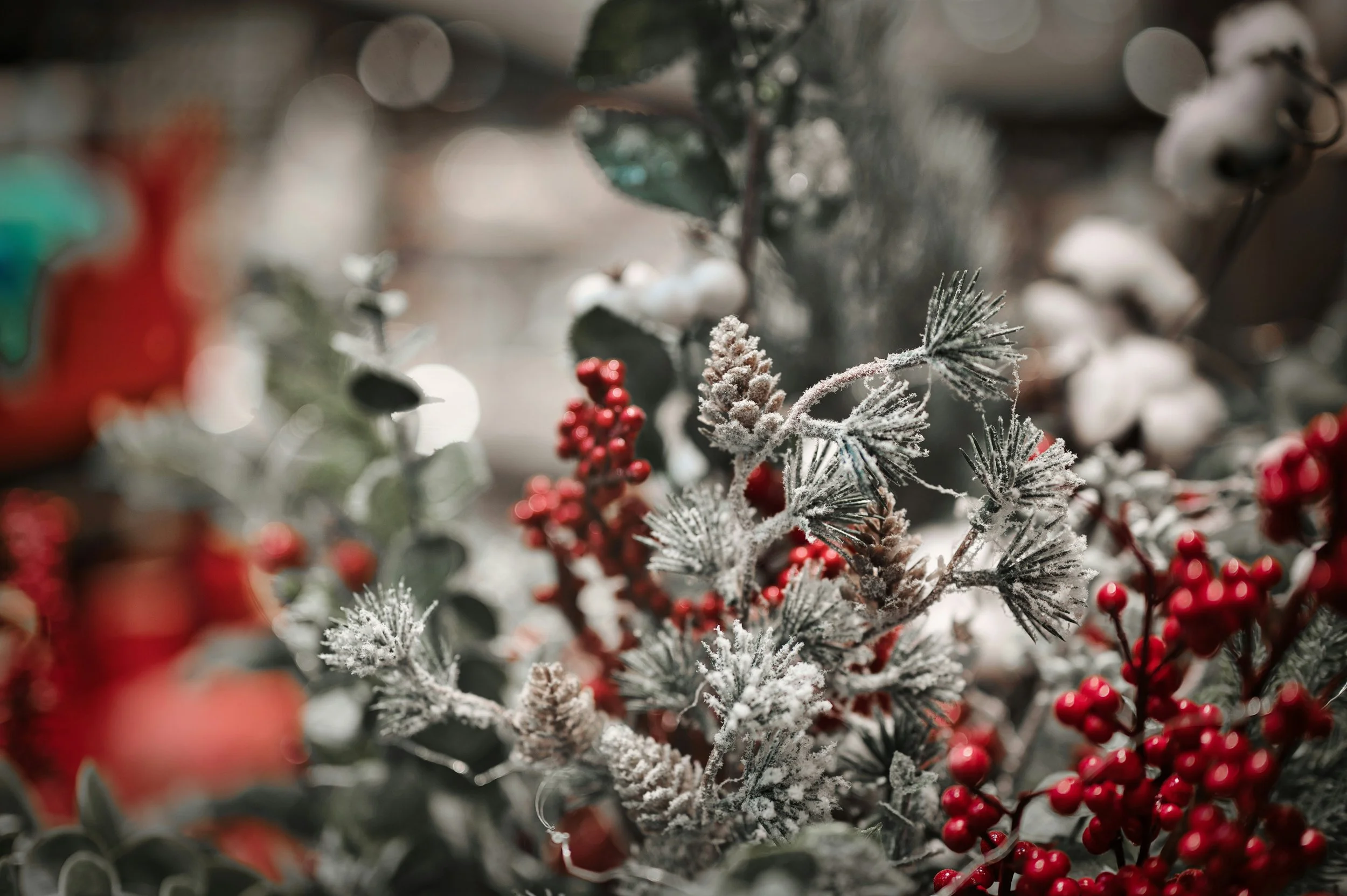 When Christmas Isn’t Merry: What This Season Brings Up for Survivors of Religious Trauma