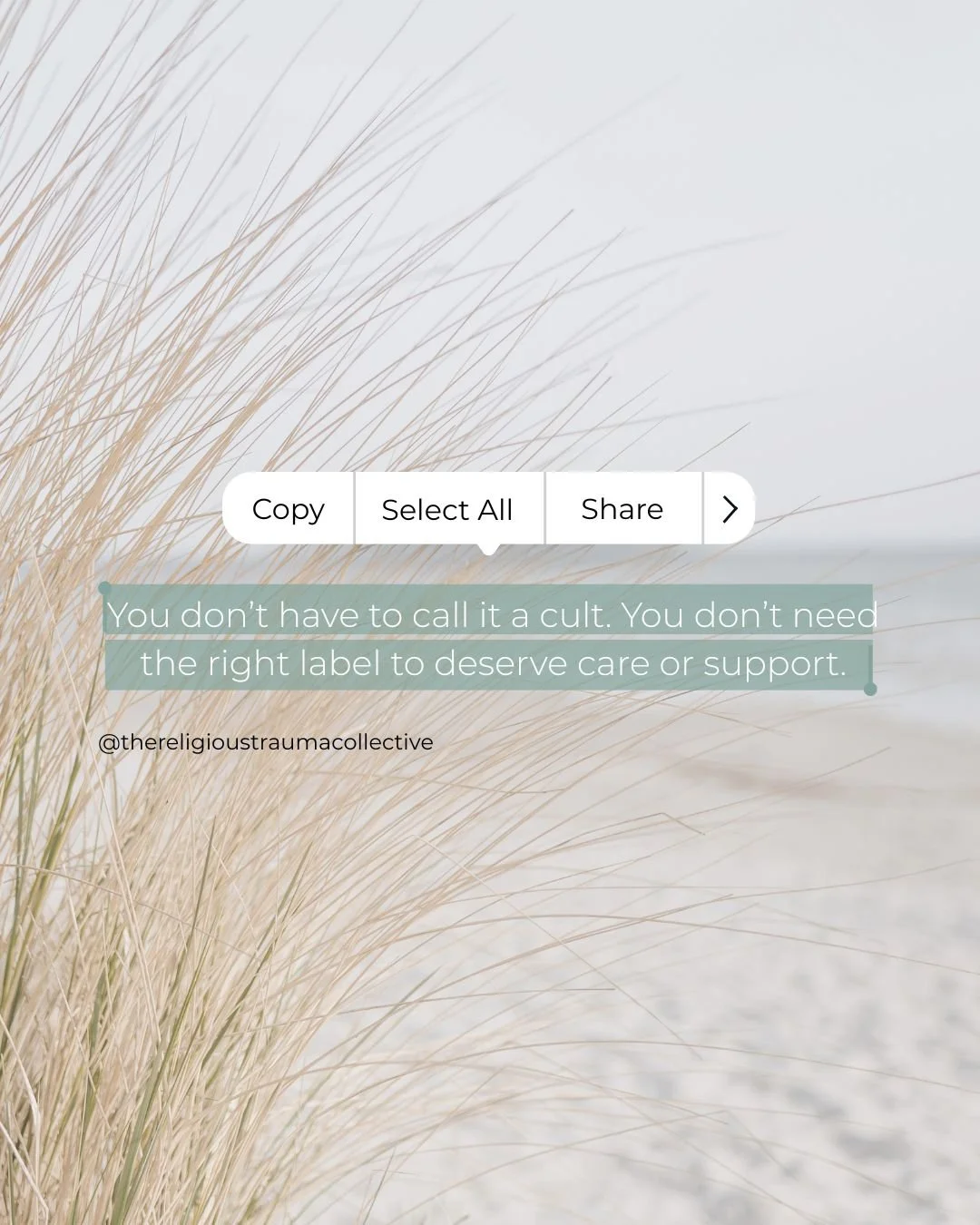 Many survivors feel pressure to find the perfect word or label for what they went through before they feel allowed to ask for support.

Was it a cult?
Was it spiritual abuse?
Was it just &ldquo;a bad church experience&rdquo;?

But what if we can gent