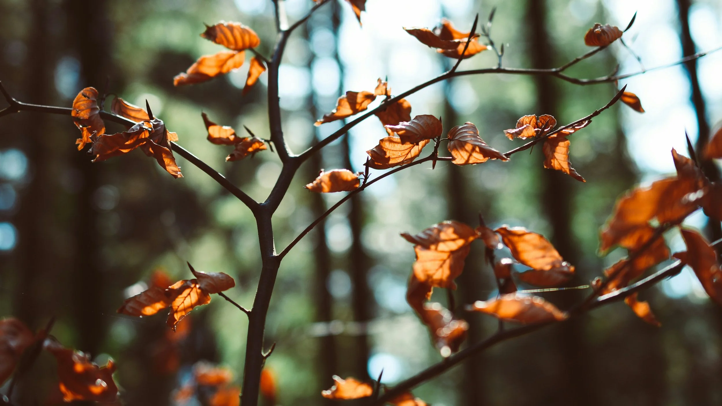 The Day After the Day After - When Easter is finally over and all the feeling that comes with it