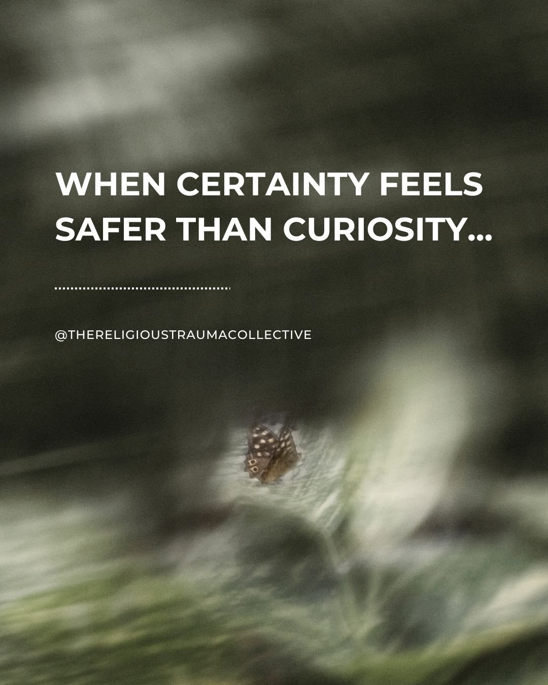 High-control belief systems provide and then demand certainty. Clear answers. Clear rules. Clear lines between right and wrong. Ambiguity is framed as danger, doubt as failure.

So after leaving, you might notice a pull toward firm conclusions, even 