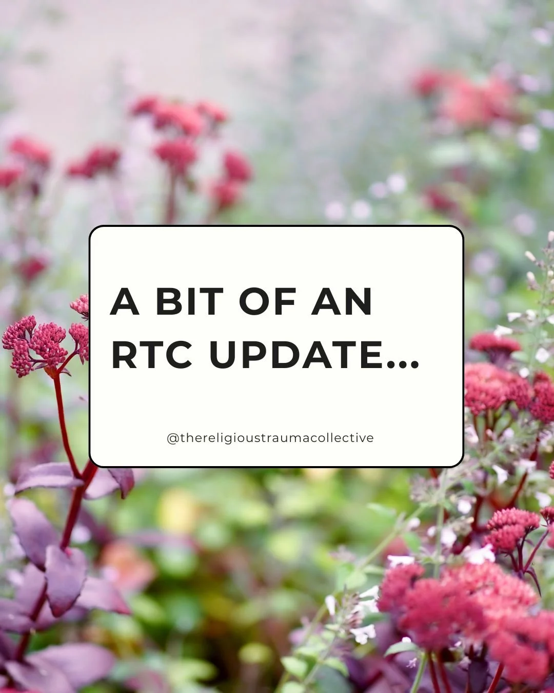 We have some news to share with all of you.

After being a founding member and a core part of The Religious Trauma Collective from the very beginning, Jane Kennedy will be stepping back from her role on the team.

This has been a thoughtful decision;