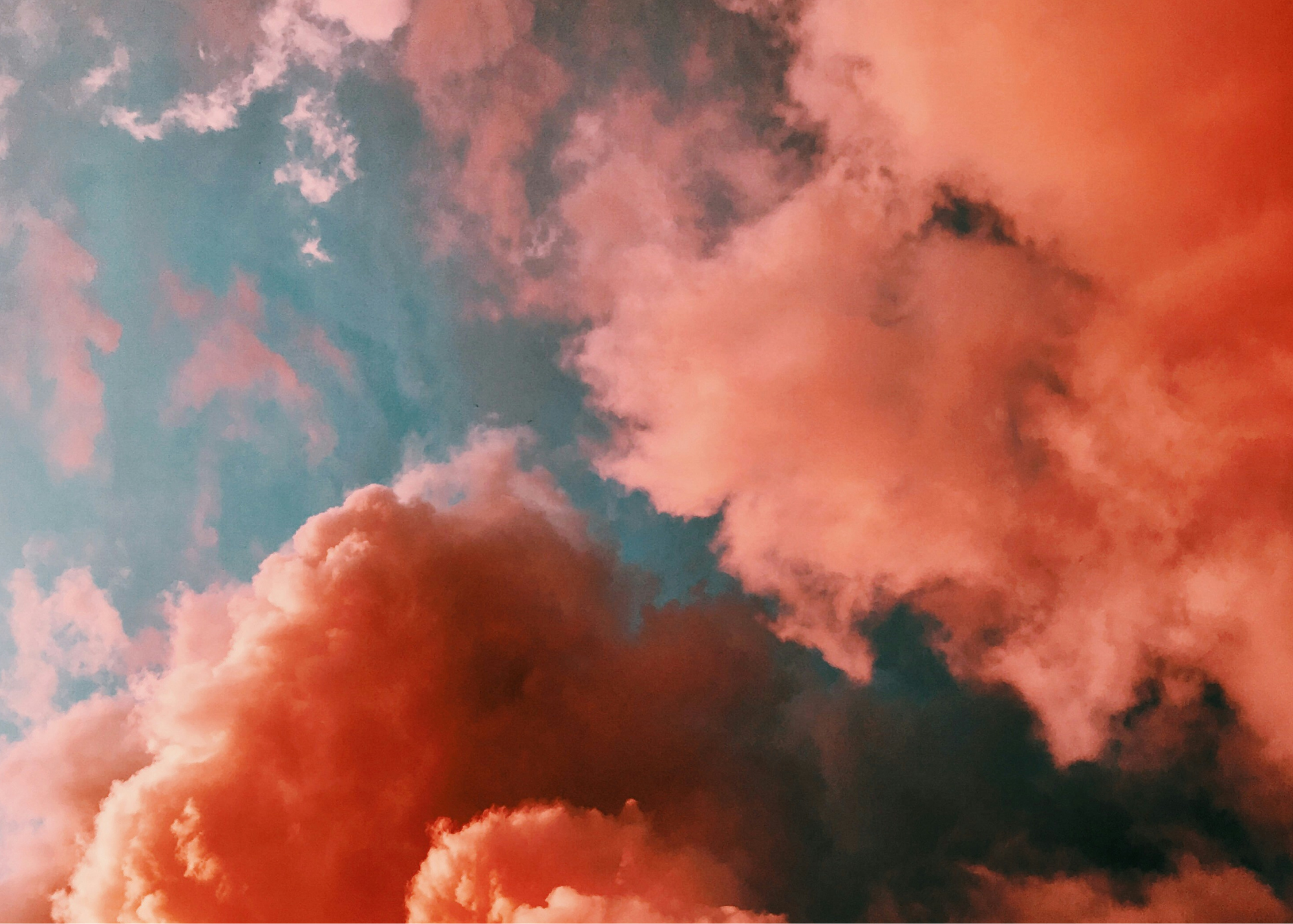 Five Myths Families Believe About Religious Trauma And What Your Loved One Actually Needs You To Know