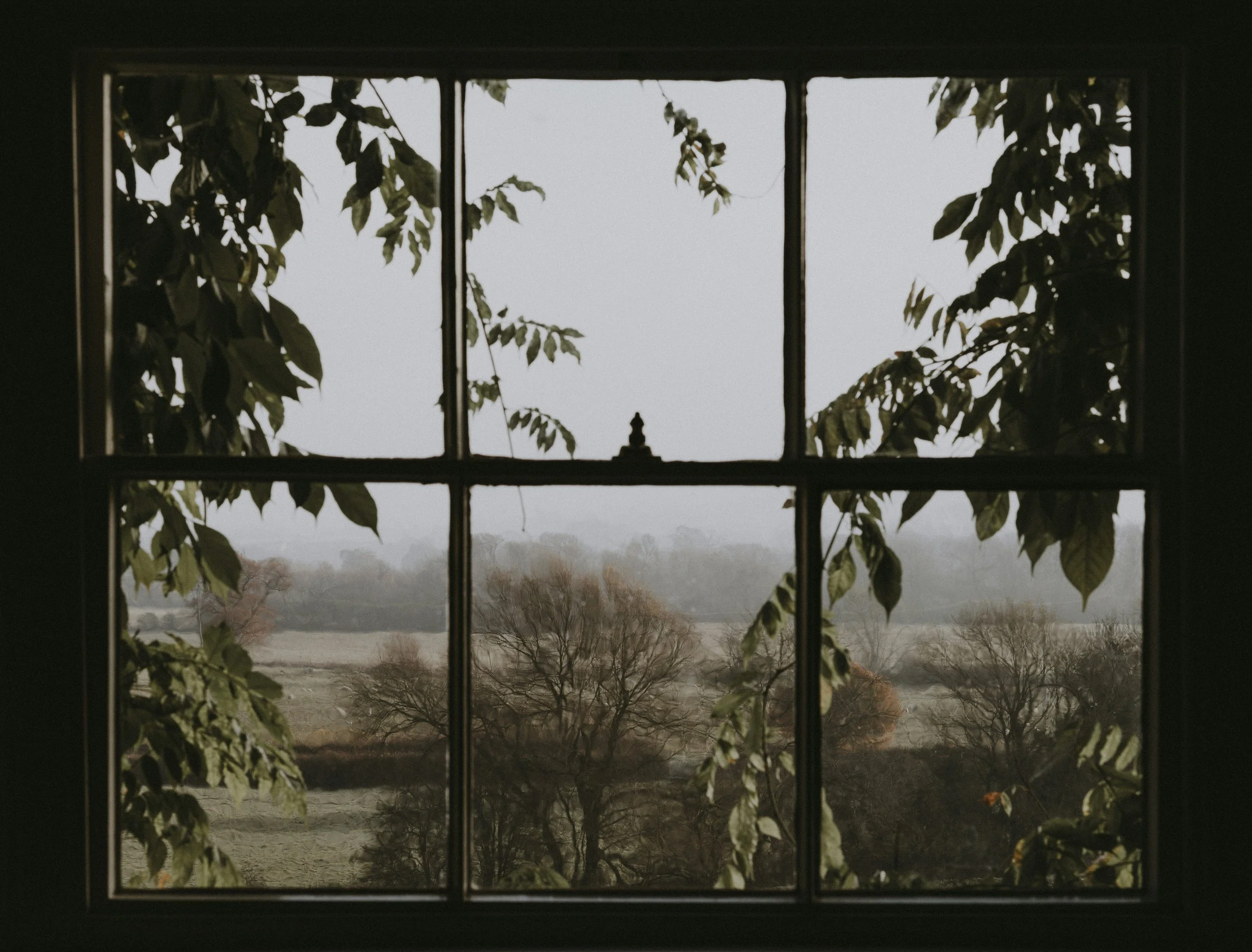 It Didn’t Look Like a Cult: Understanding Coercive Control in High-Demand Environments