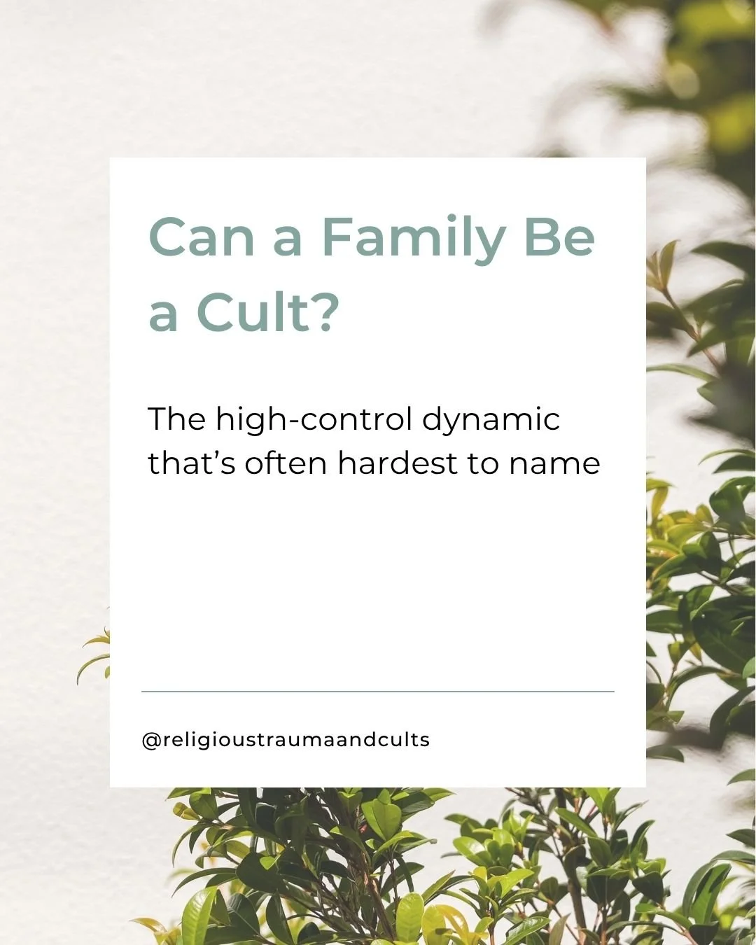 When we talk about cults and high-control groups, we're almost always picturing something like an organisation, church, community or a leader with a following. 

Except a crowd isn't required for these dynamics to define an environment. Sometimes the