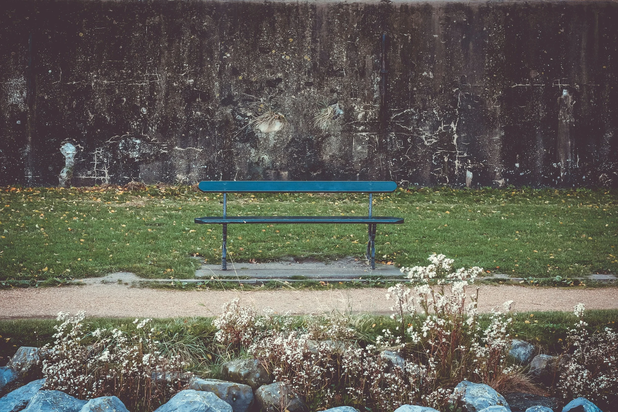 A park bench on a grassy area with a large dark stone wall in the background. There are some plants and flowers in the foreground and rocks along the edge of the grass.