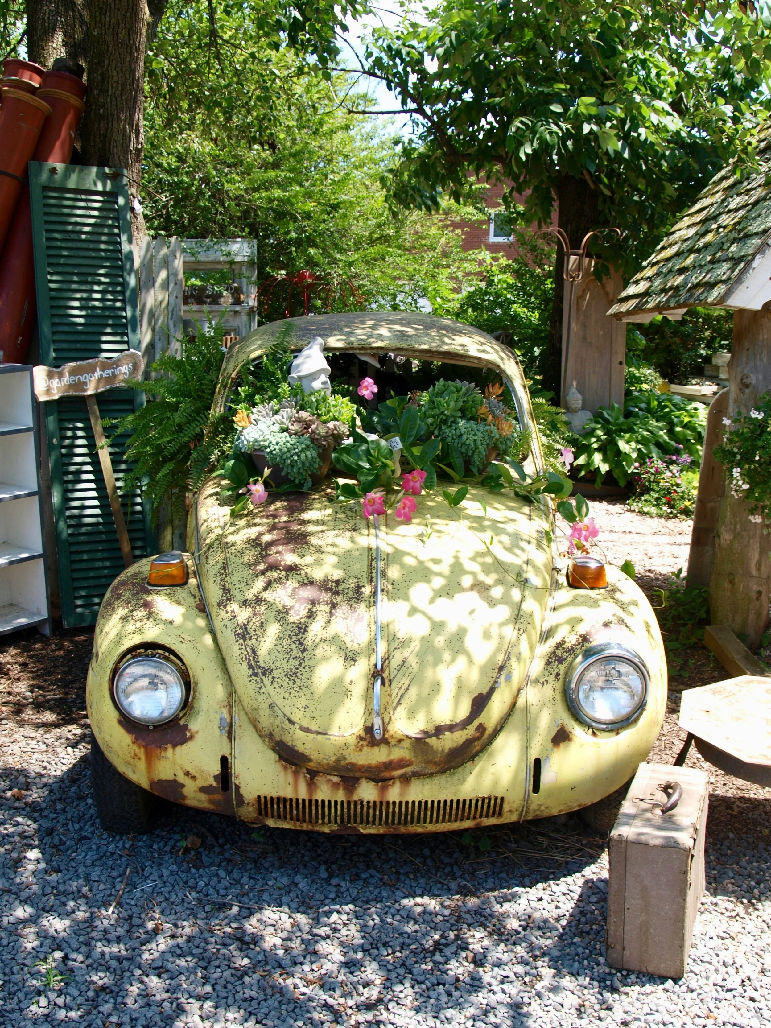 An old, rusty yellow Volkswagen Beetle with a roof filled with potted plants and pink flowers. The car is outdoors, surrounded by trees and gravel. To the right, there is a wooden block supporting the front bumper, and in the background, garden items and greenery are visible.