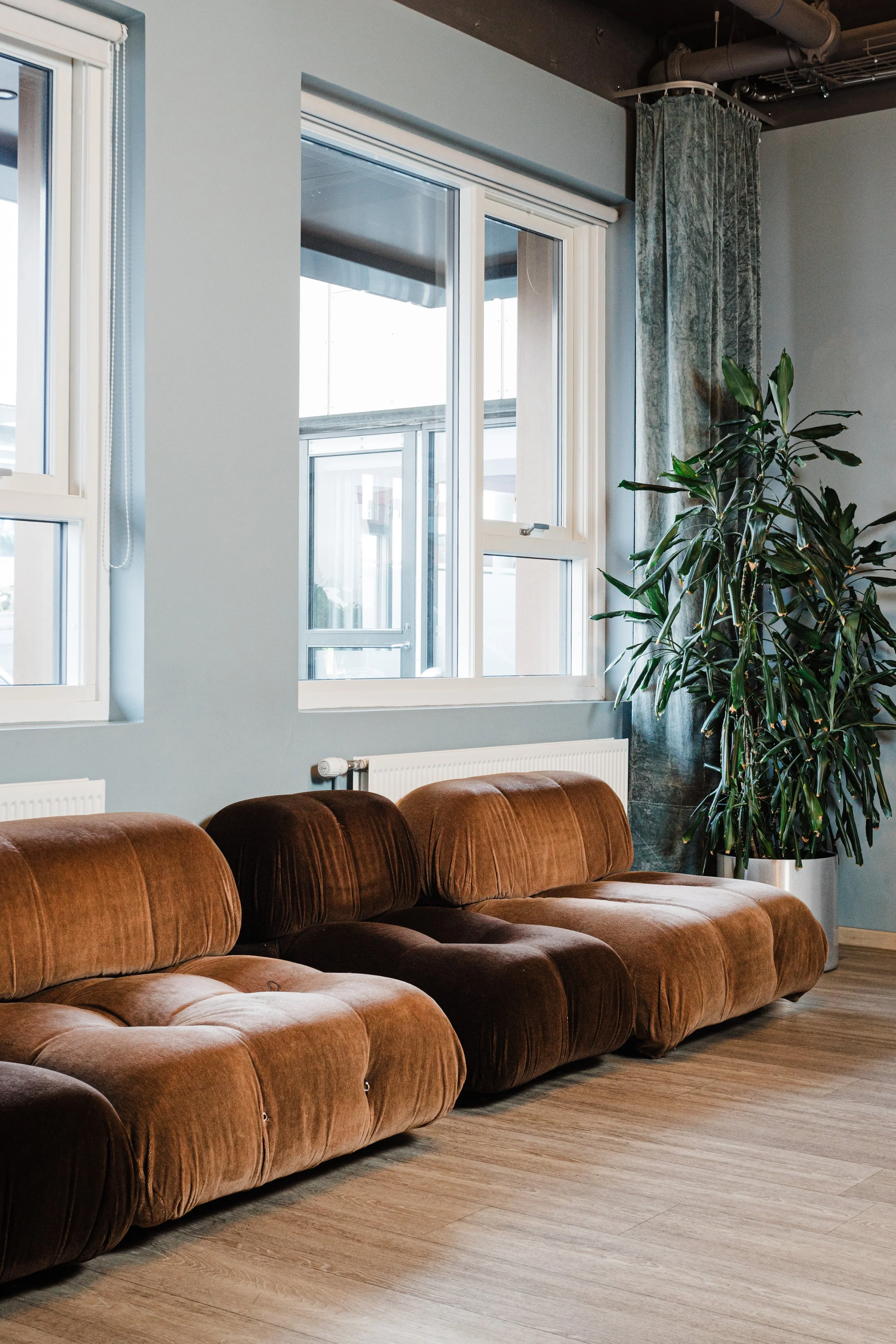 A cozy waiting area with a brown velvet sofa, large windows, a tall green plant, and a light-colored wooden floor.