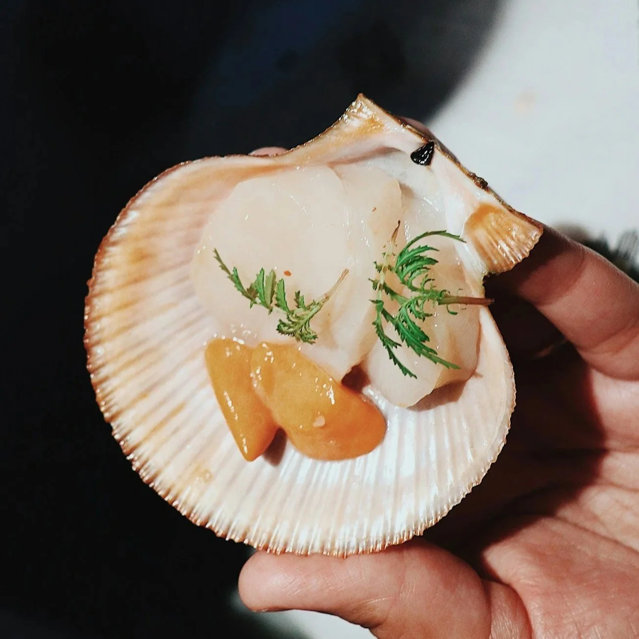 Our Favourite Spots for Fine Dining in Reykjavik