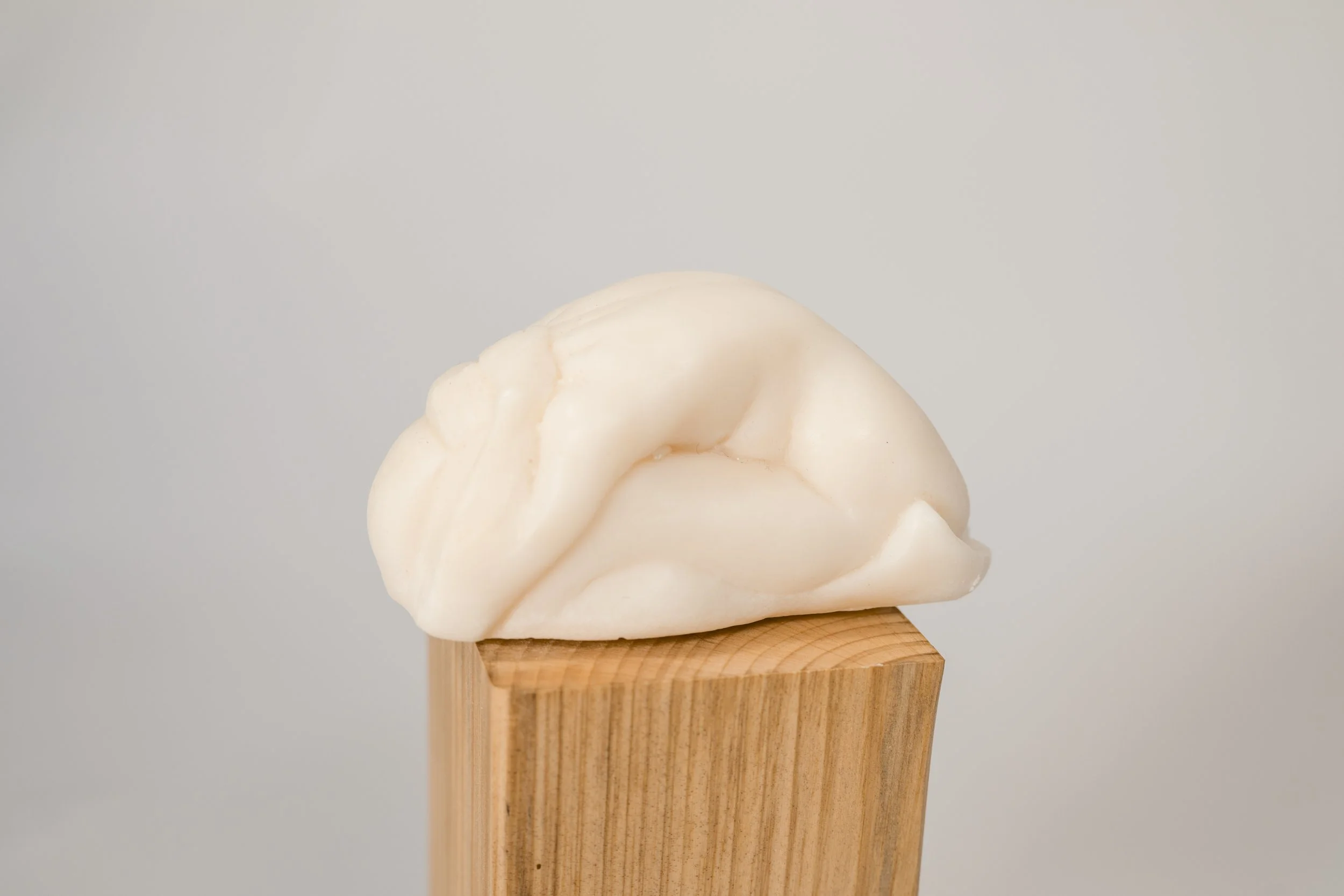 Innerlather 25-4882.jpg