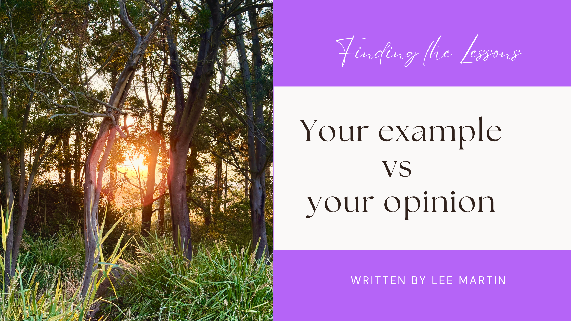 Your example vs your opinion