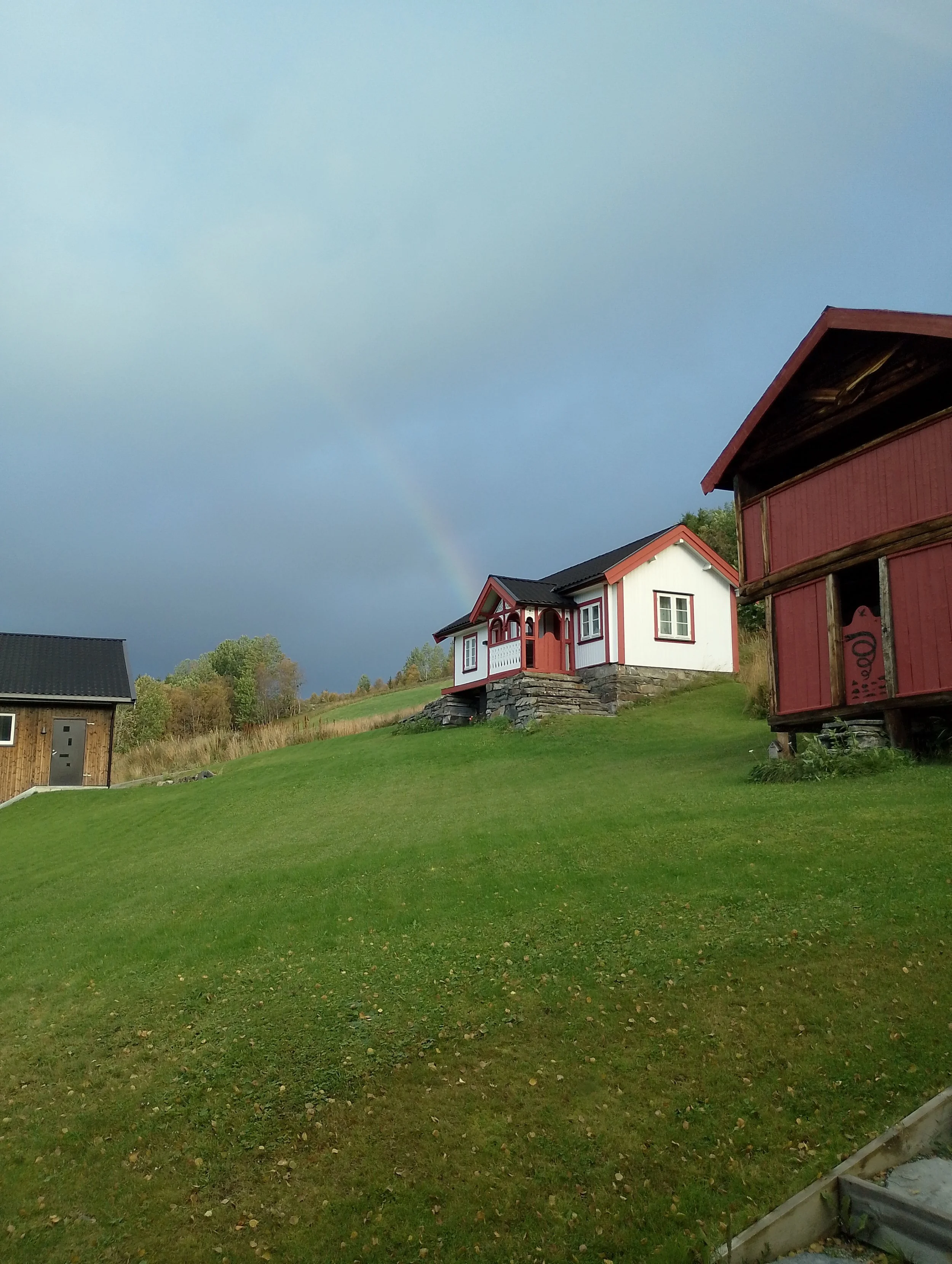 IMG_20240911_075446.jpg