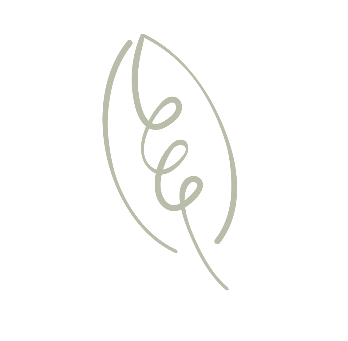 Minimalist line drawing of a leaf with a spiral pattern inside on a black background.
