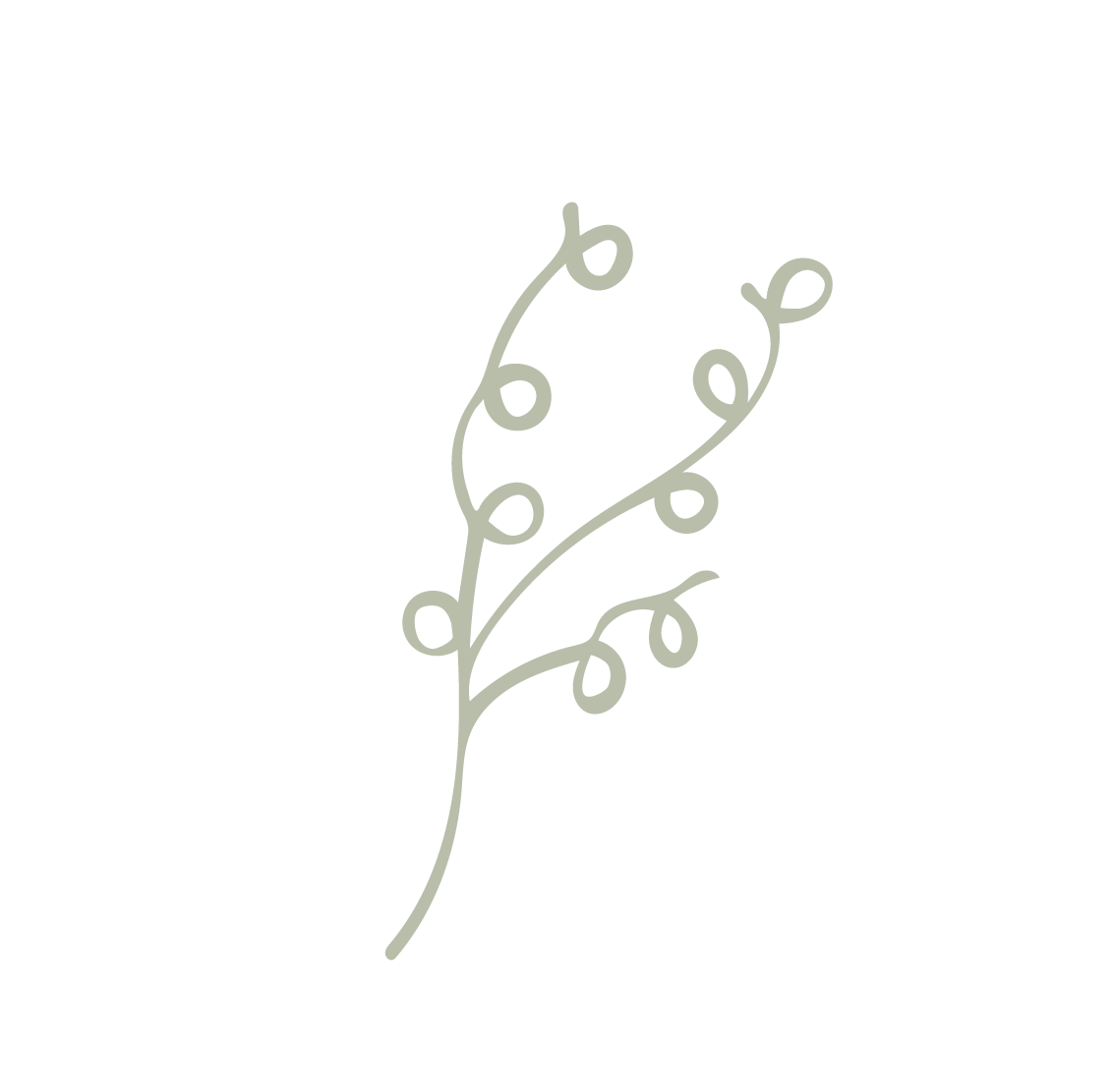 A simple, minimalist illustration of a sprig with small rounded leaves on a black background.