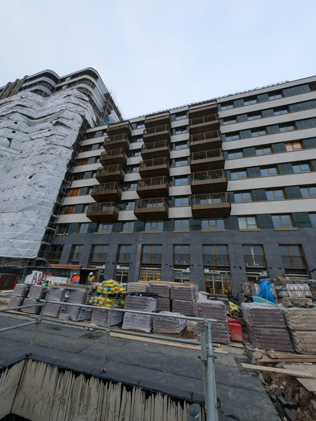 WhatsApp Image 2026-02-13 at 08.29.17.jpeg