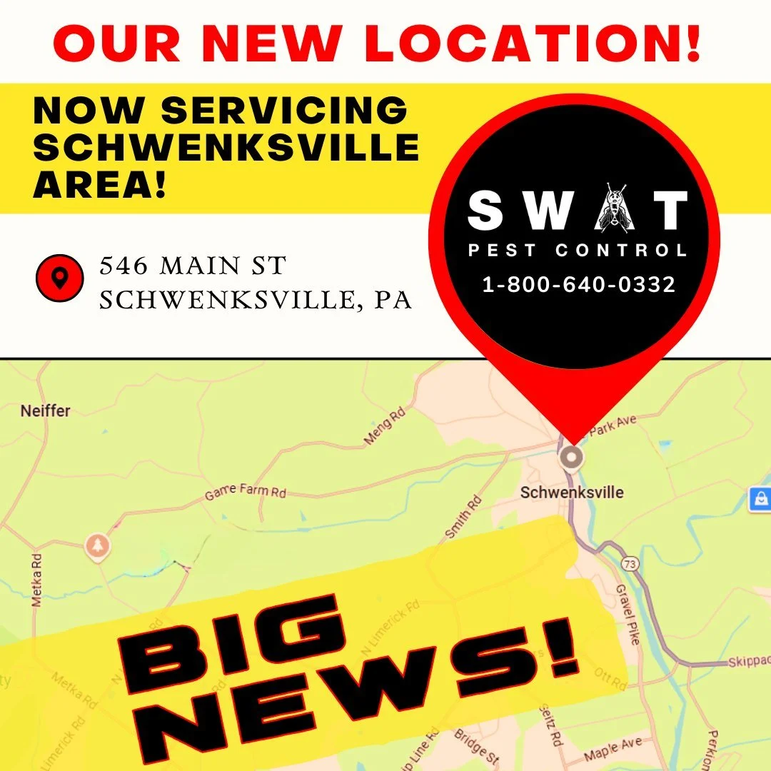 2nd LOCATION‼ Look at us making big moves 👀Hello #schwenksvillepa #perkiomenvillepa #ɢʀᴇᴇɴʟᴀɴᴇᴘᴀ #limerickpa #lederachpa #springmountainpa #graterfordpa #collegevillepa #trappepa #harleysvillepa