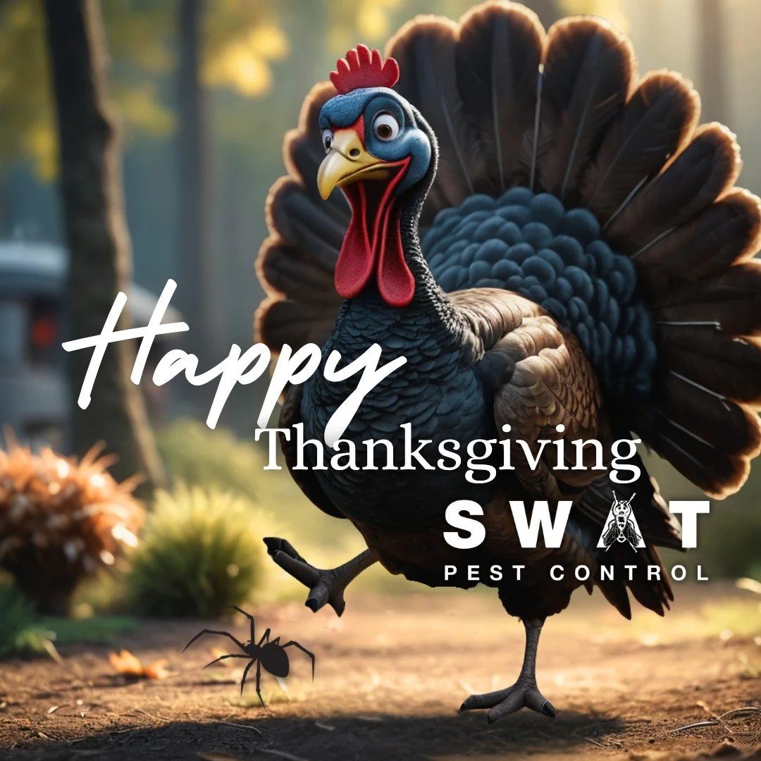Happy Thanksgiving from everyone here at SWAT Pest Control! 🍂🍗🕷