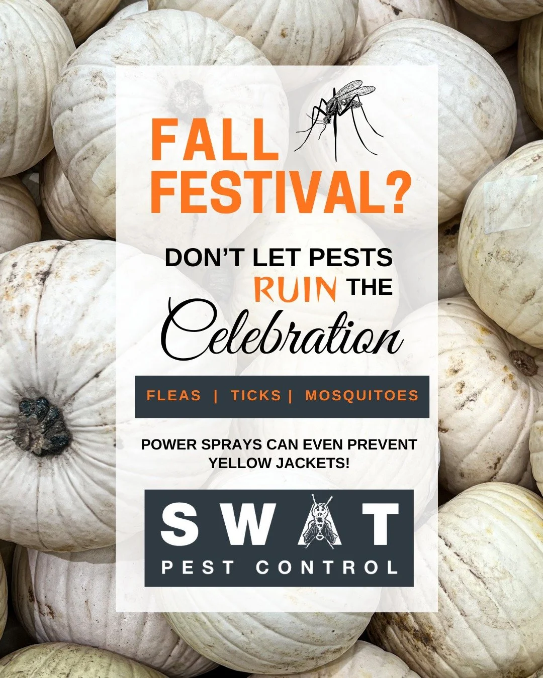 🎃Pumpkin Spice and Nothing that flies 🦟🚨 Control Fleas, Ticks, Mosquitoes this Fall for your Outdoor Event. [even those nasty yellow jackets!] #buckscountypa #buckscountypestcontrol #montgomerycountypa #pafallfestival #buckscountyfallfestival #mon