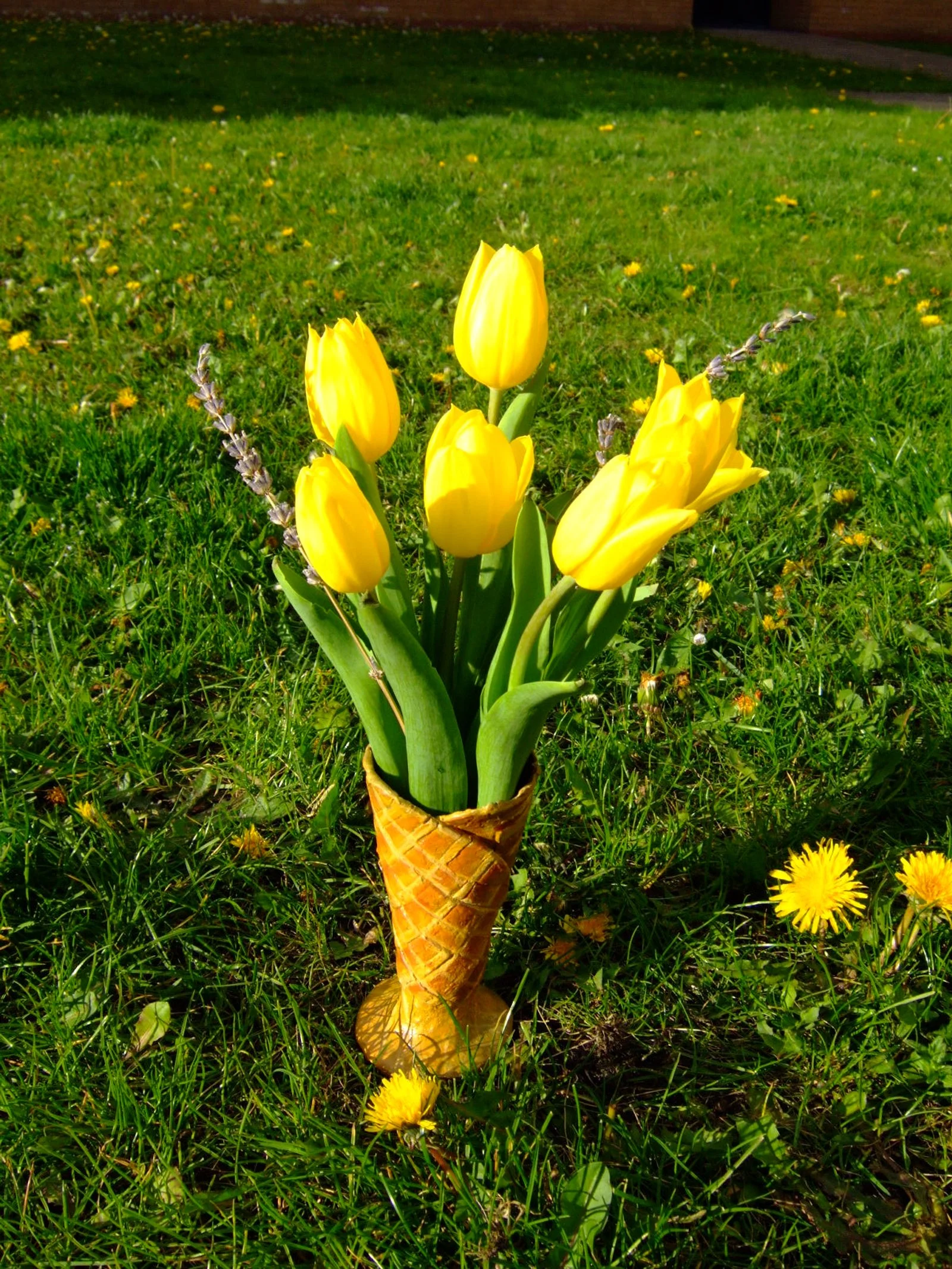 DSCF0173.JPG