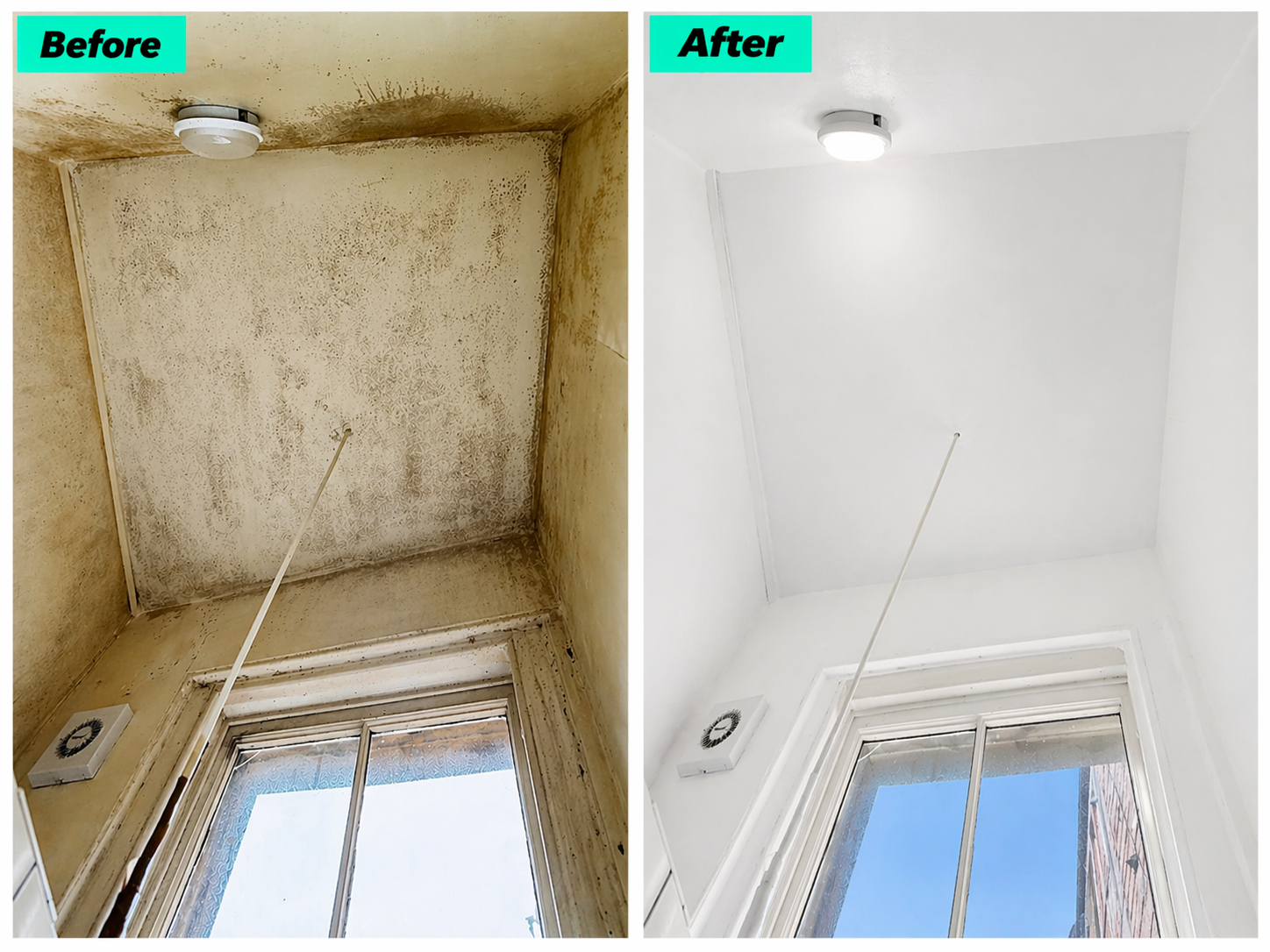 Mould treatment and decoration to clean and restore the bathroom