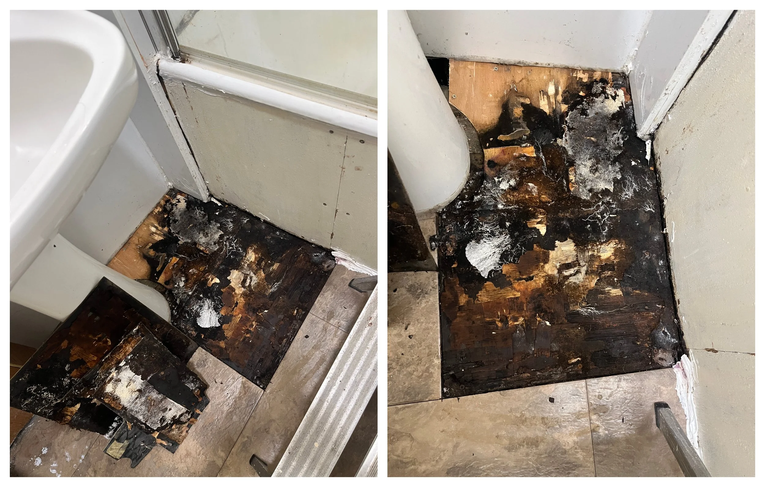 Image shows bathroom floor that is all mouldy due to having no proper sealant and not being water tight