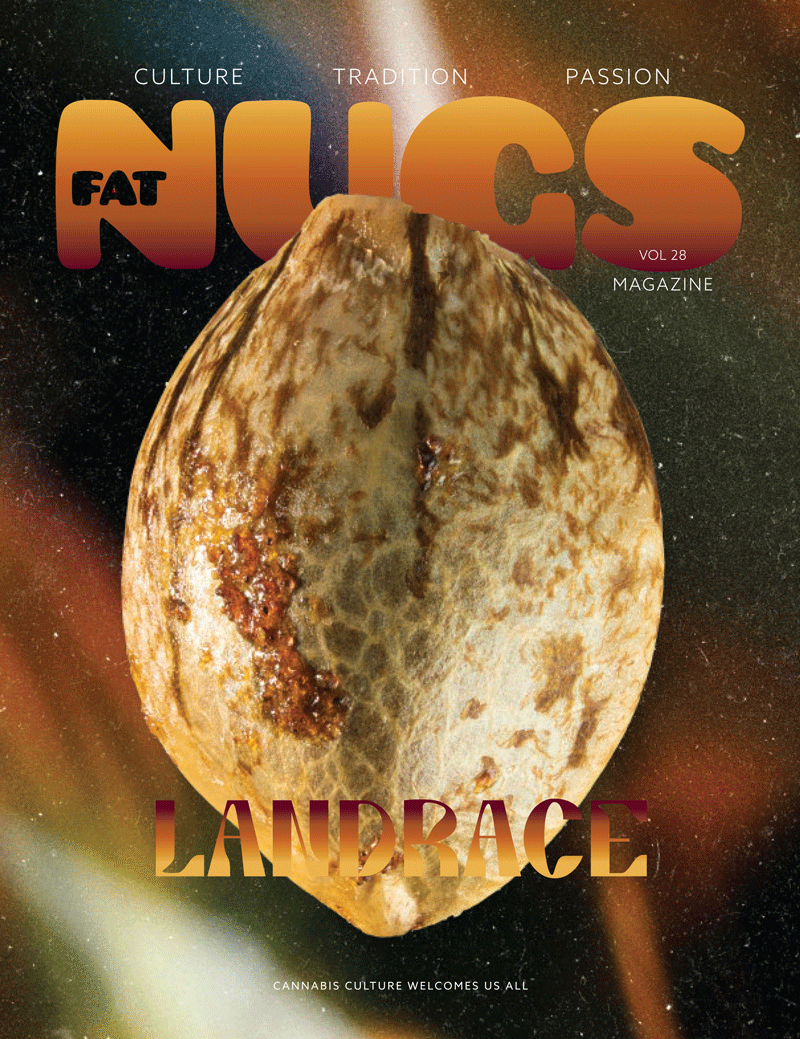 Fat Nugs Magazine