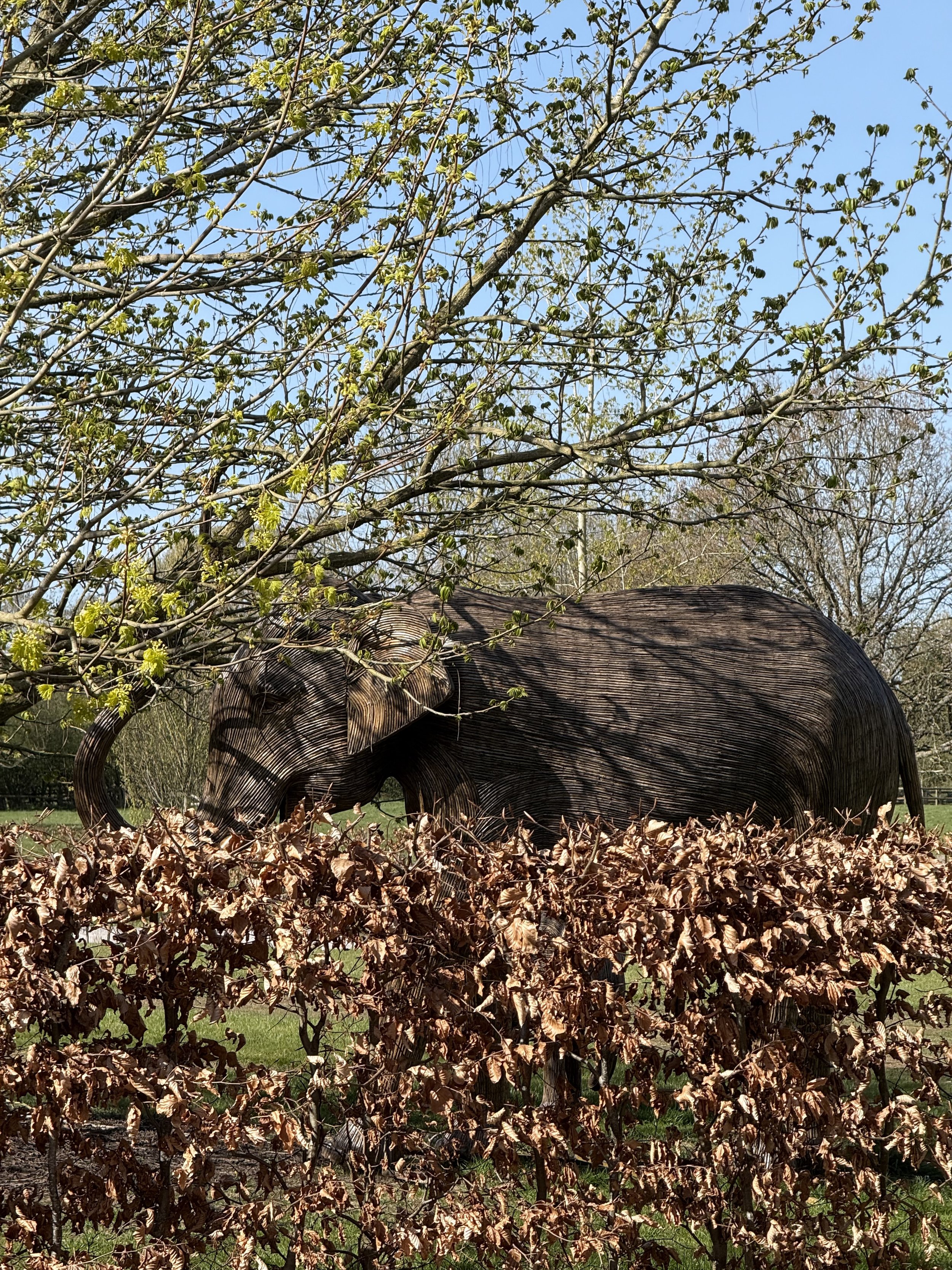 IMG_7076.jpeg