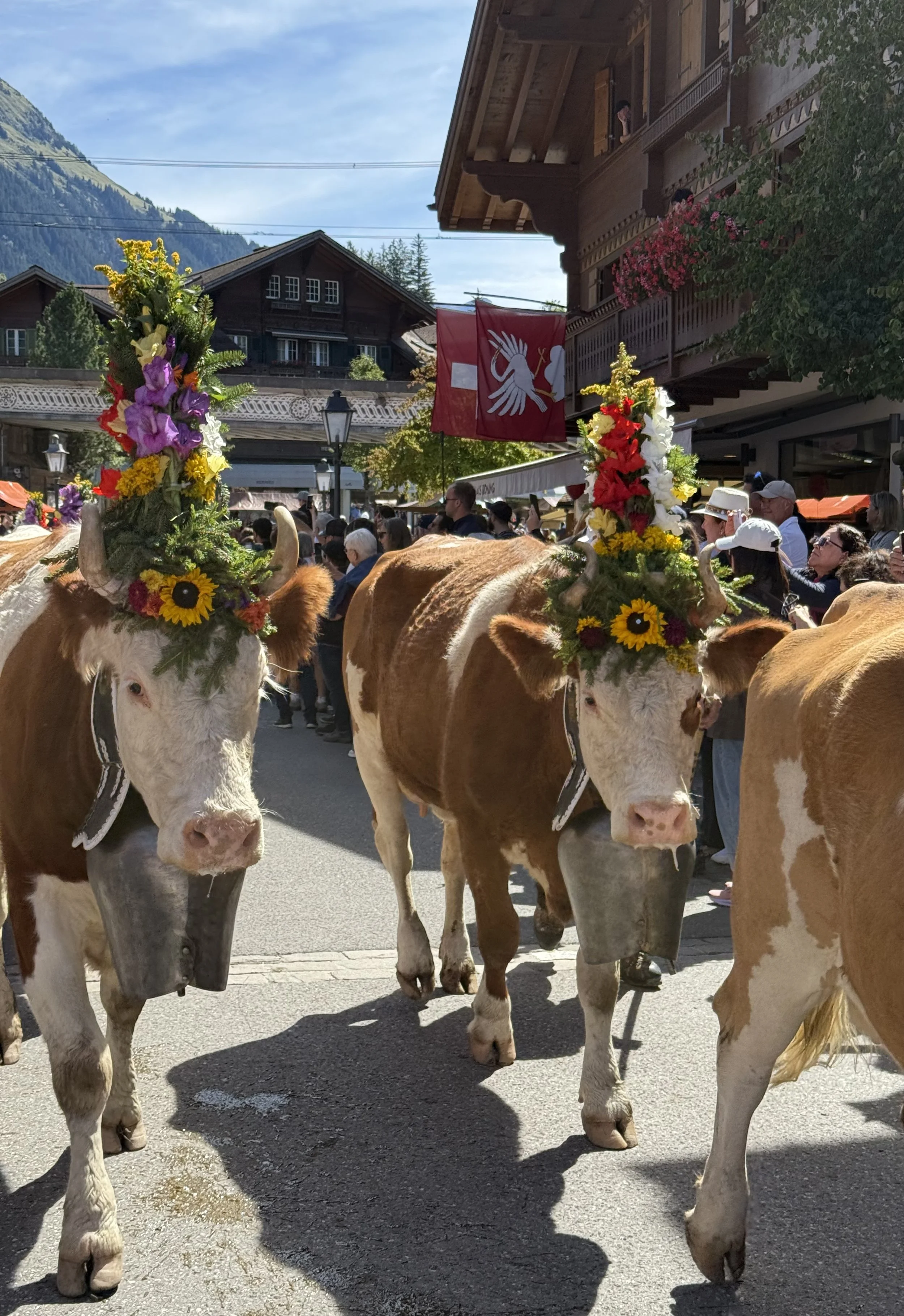 Gstaad Switzerland: GoldenPass Belle Époque, Glacier 3000, Fairytale Charm &amp; Cow Parades