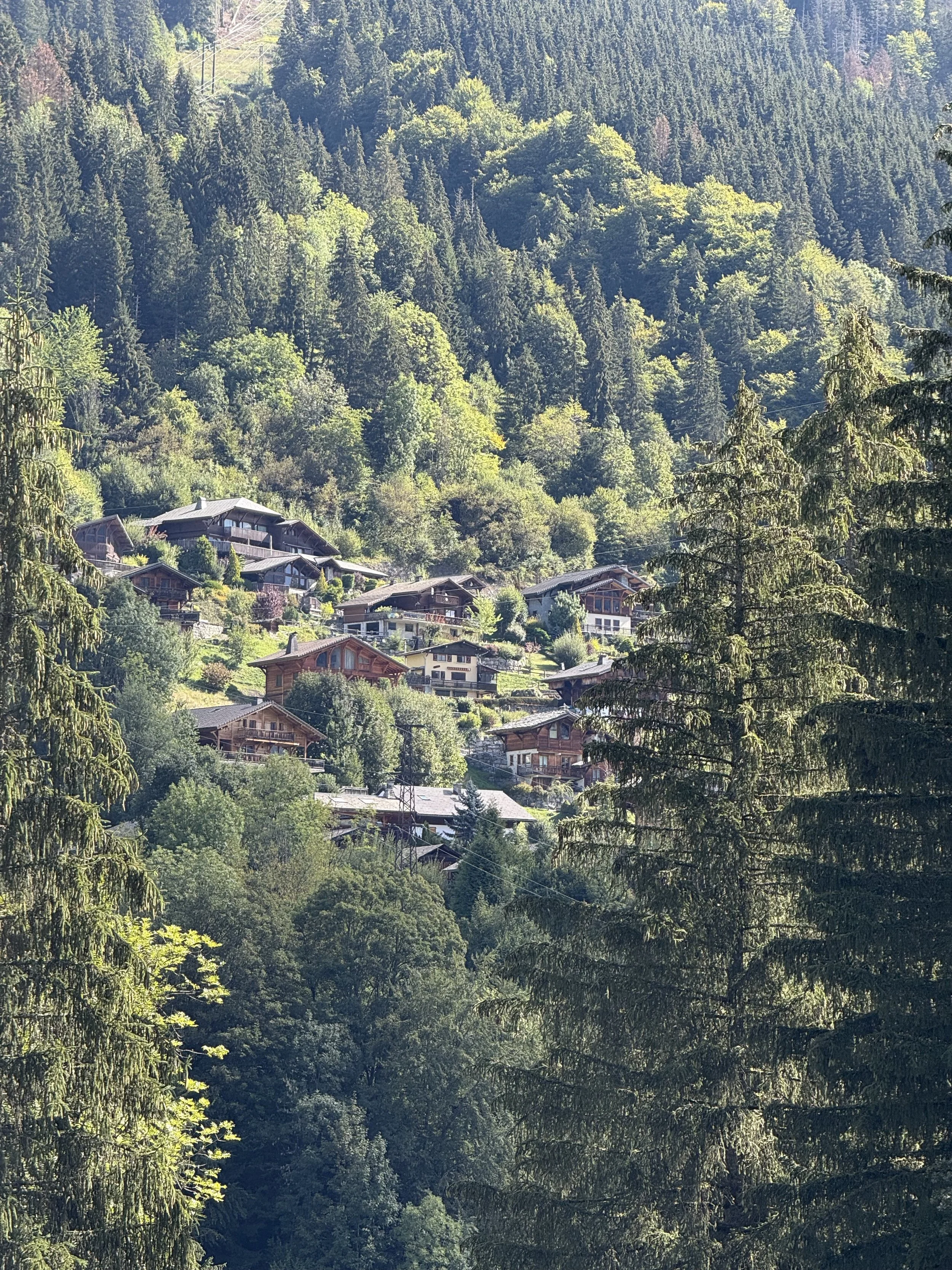 IMG_3910.jpeg