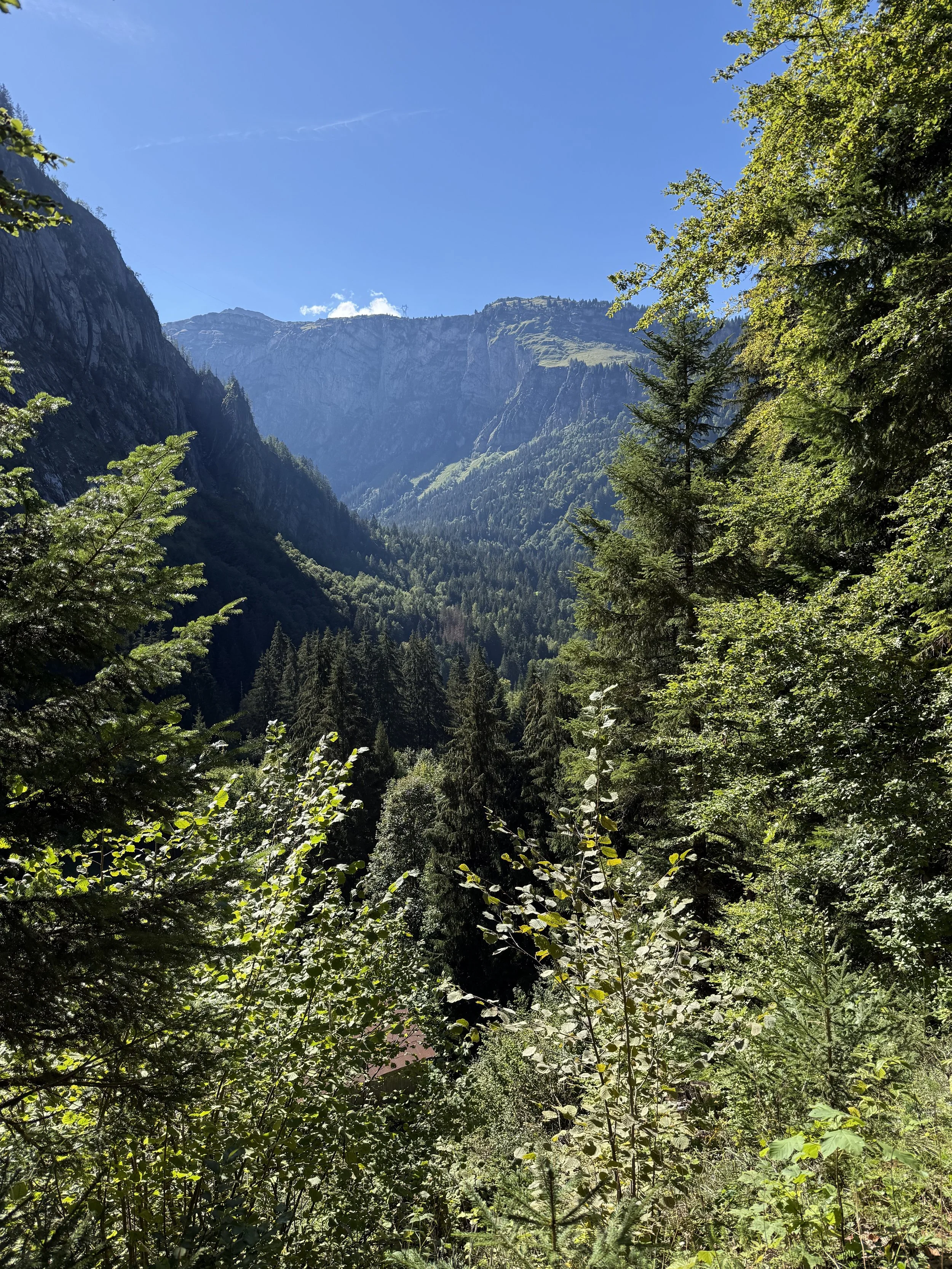 IMG_4076.jpeg