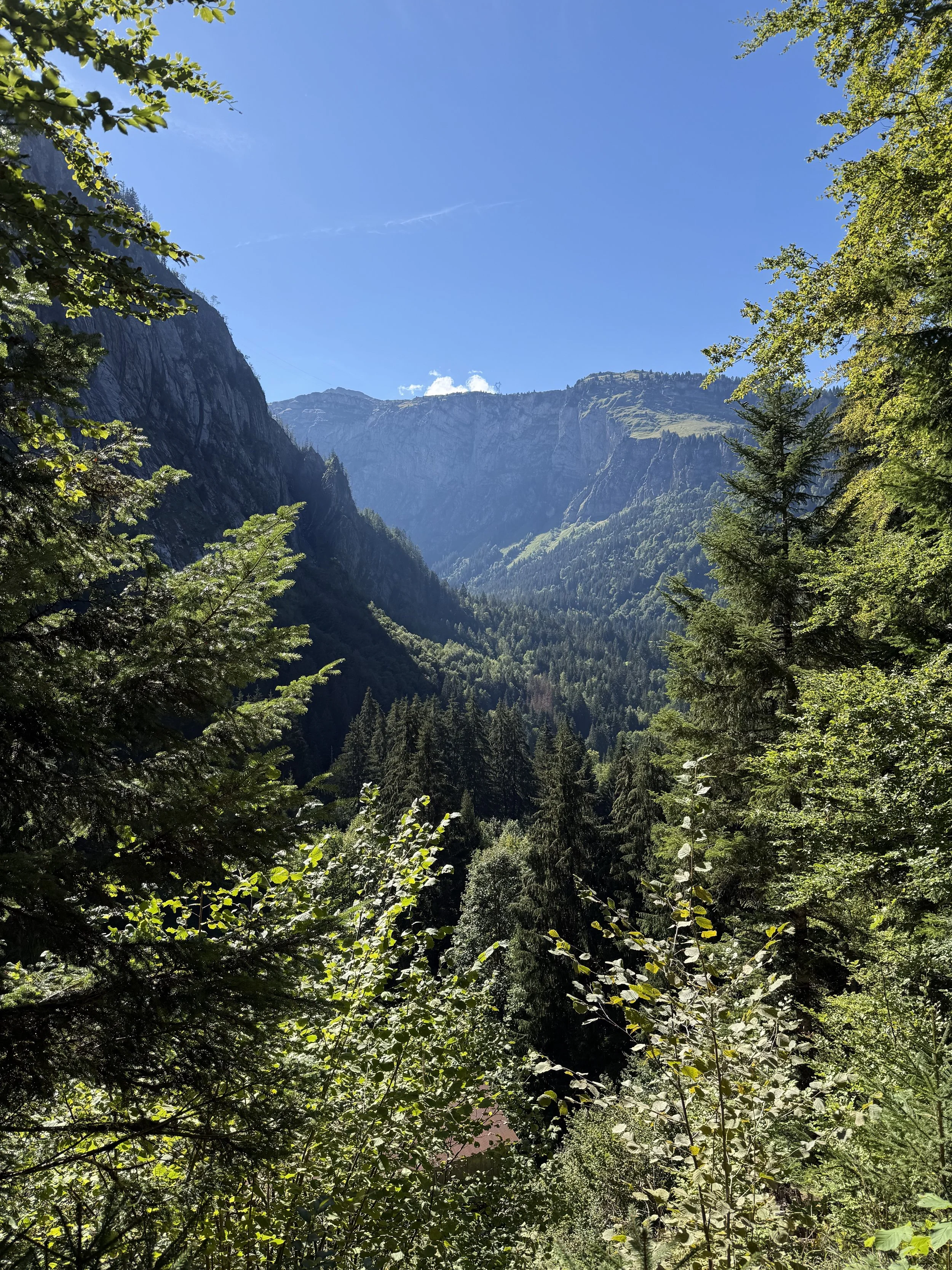 IMG_4078.jpeg