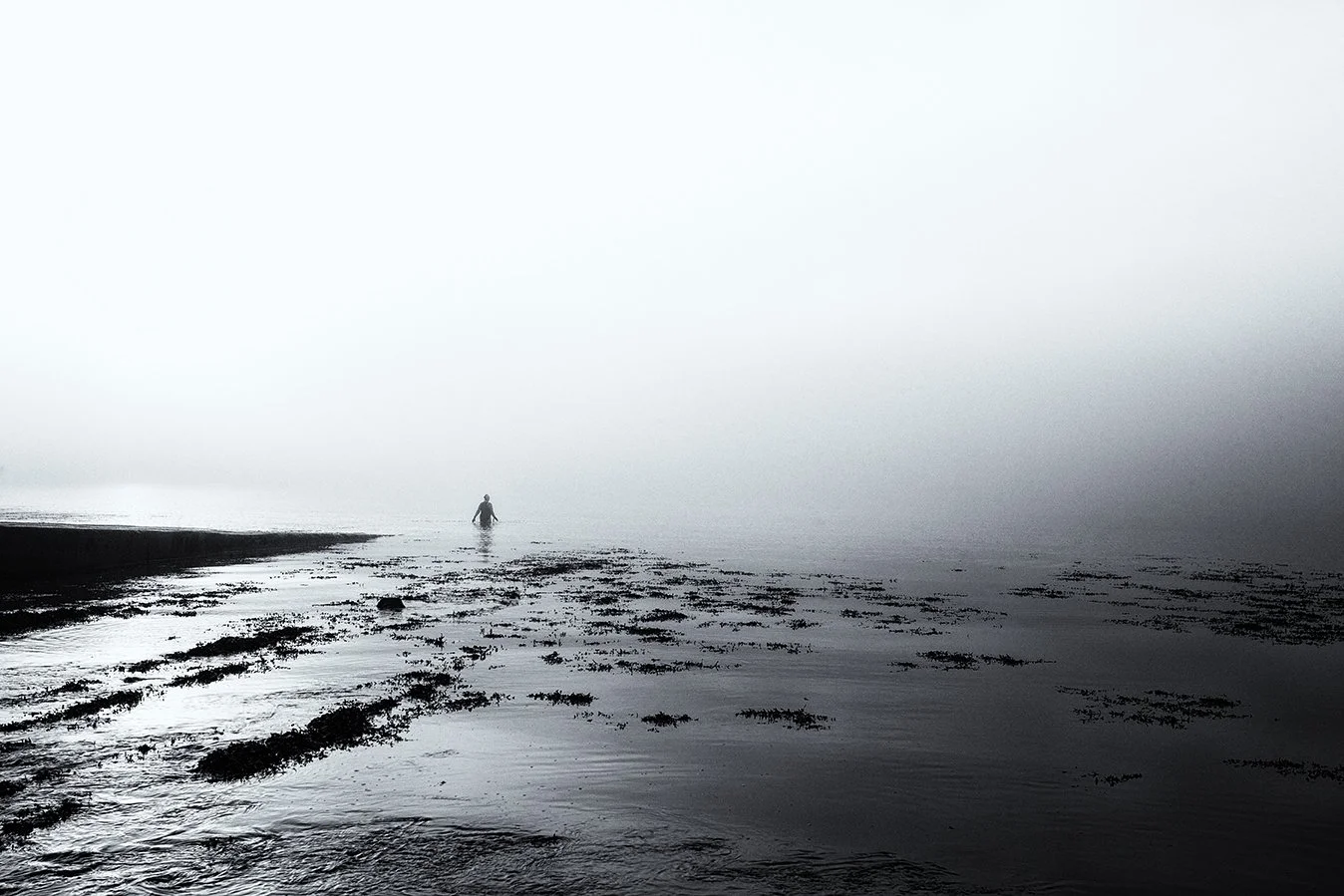 bristol photographer photography black white bnw fine art giclee prints award winning open edition don hooper landscape woods forest minimalist out clevedon jetty seascape mood moody