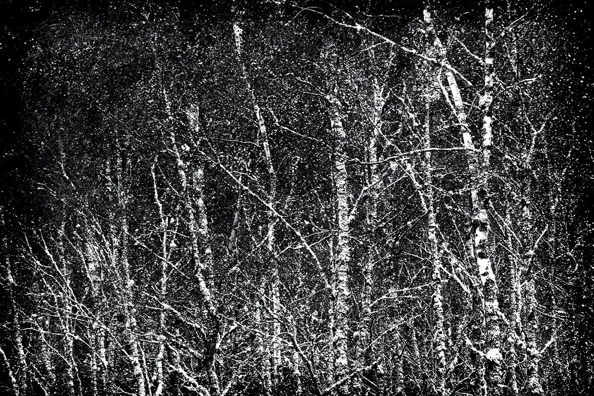 under the stars fine art photography giclee prints bristol photographer black and white