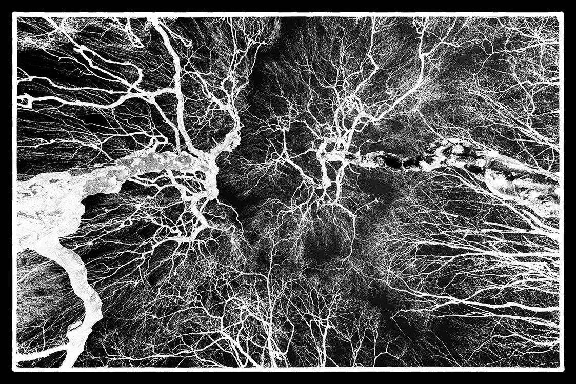 division tree tops bristol photographer photography fine art black and white giclee prints