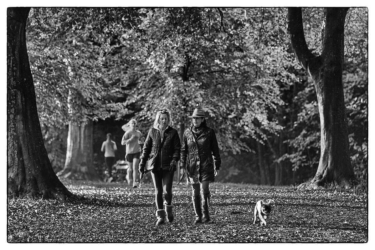autumn autumnal walk leaf step Clifton bristol the promenade dog walk walkers fine art photography photographer black and white cycle prints